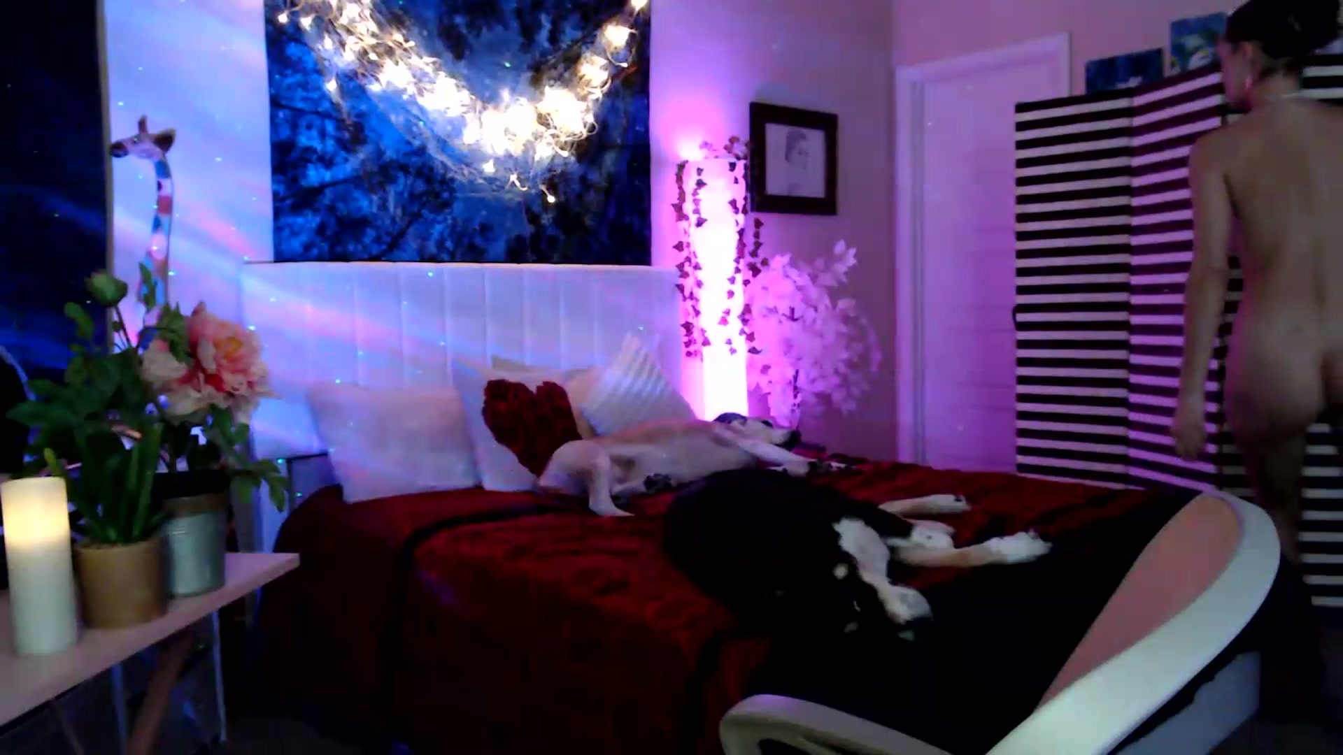 Gallery image thumbnail from HeidiKlumsy's myfreecams stream on, 06/03/2026, 22:54 image 18 of 20