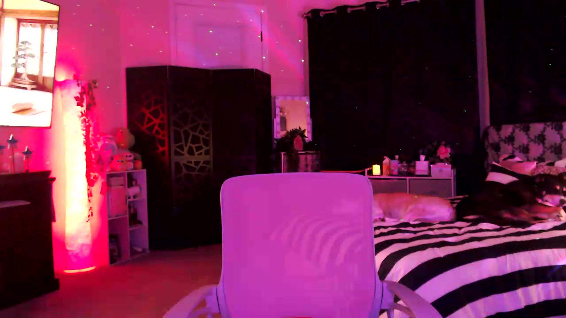 Gallery image thumbnail from HeidiKlumsy's myfreecams stream on, 07/14/2026, 05:58 image 11 of 20