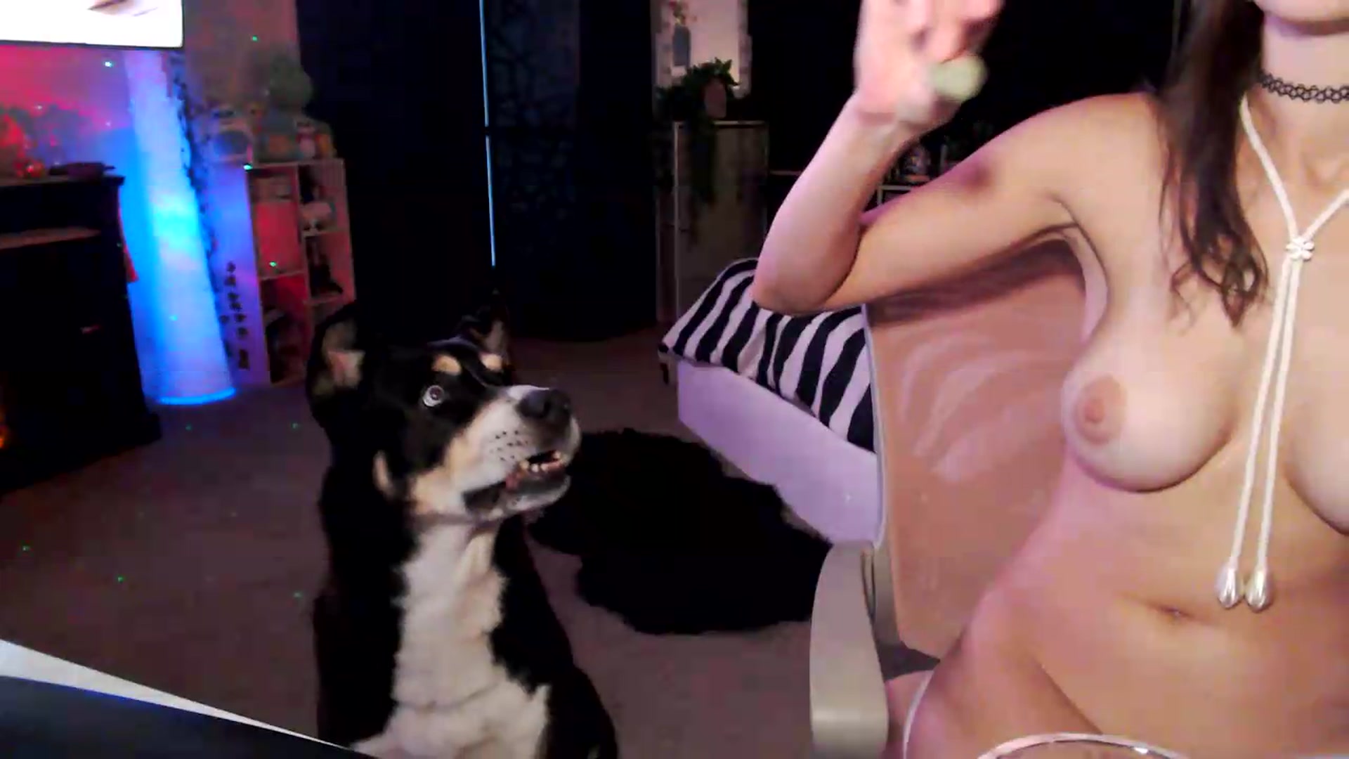 Gallery image thumbnail from HeidiKlumsy's myfreecams stream on, 07/23/2026, 01:50 image 9 of 20