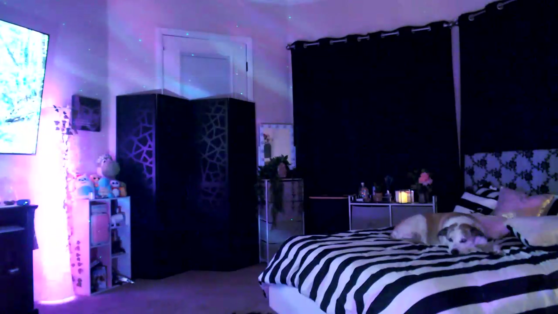 Gallery image thumbnail from HeidiKlumsy's myfreecams stream on, 07/24/2026, 07:04 image 5 of 20