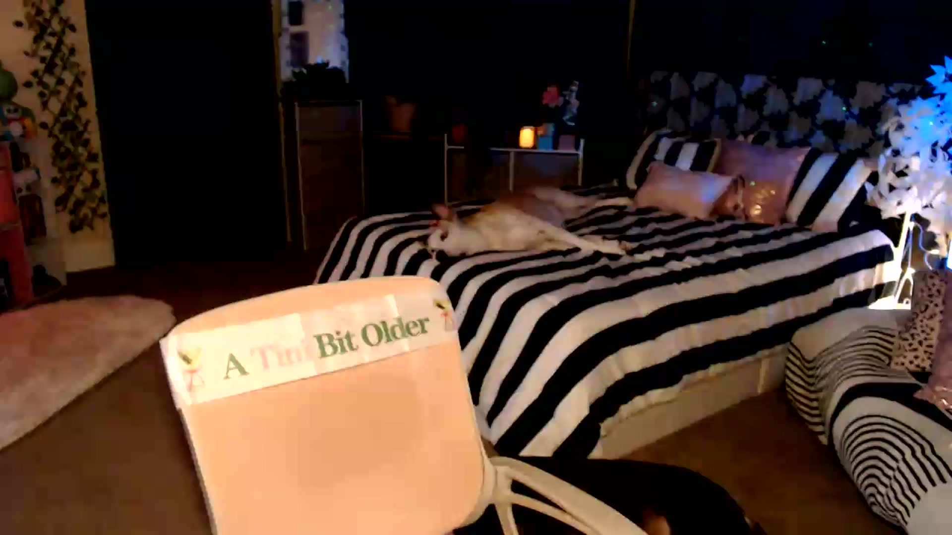 Gallery image thumbnail from HeidiKlumsy's myfreecams stream on, 07/28/2026, 03:44 image 3 of 20