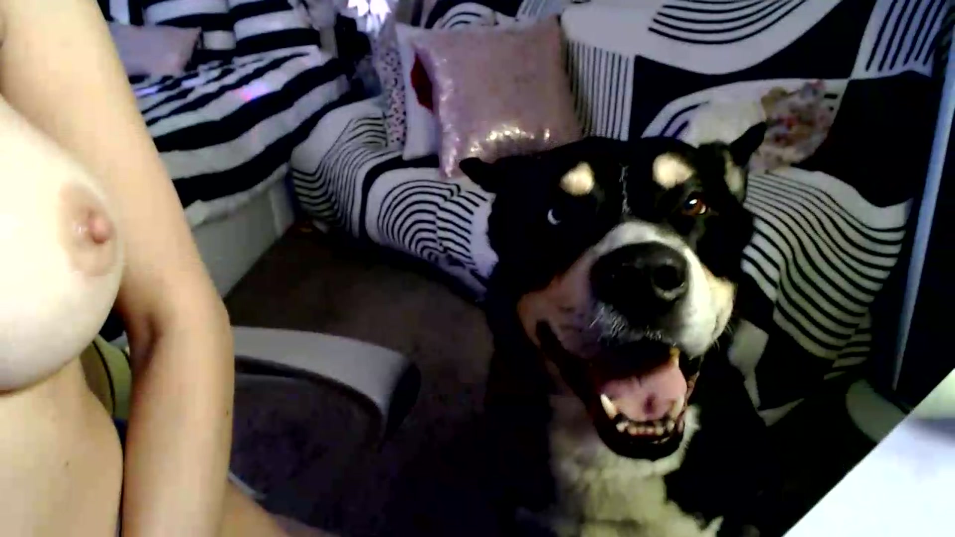 Gallery image thumbnail from HeidiKlumsy's myfreecams stream on, 07/30/2026, 23:23 image 20 of 20
