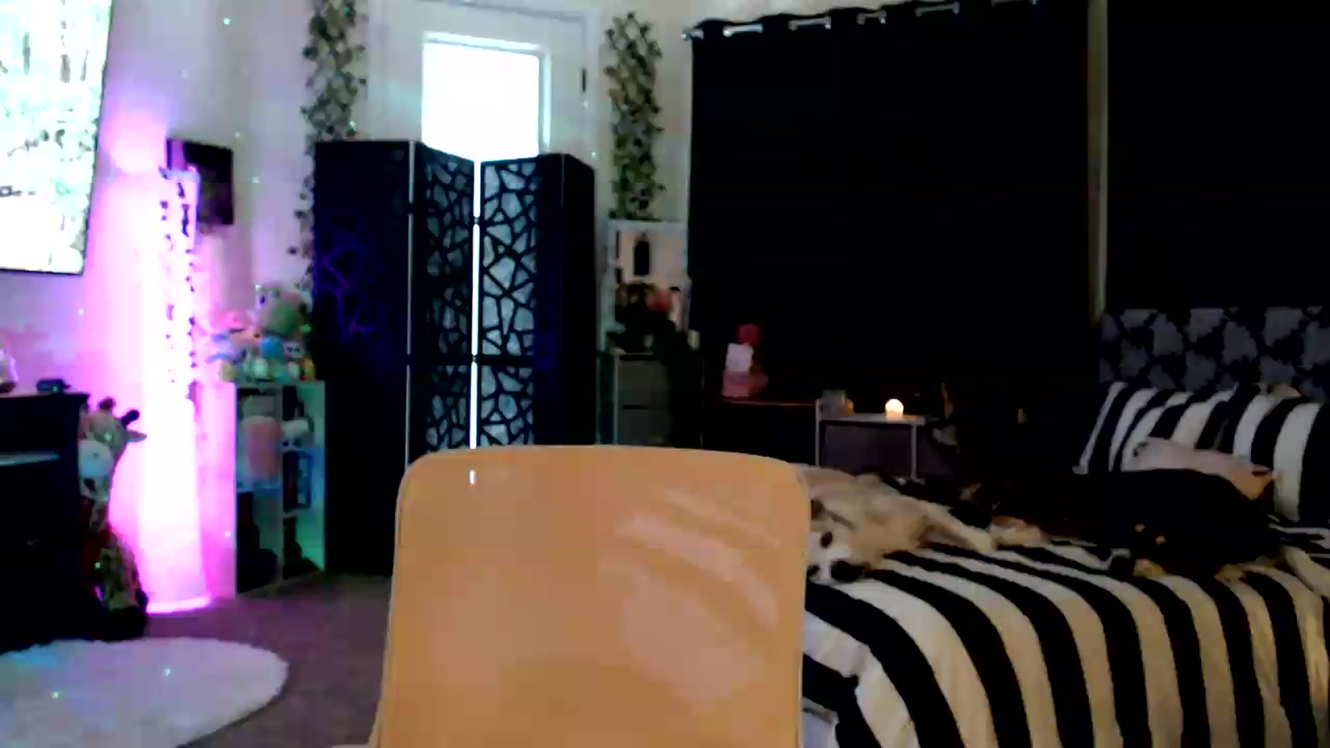 Gallery image thumbnail from HeidiKlumsy's myfreecams stream on, 08/13/2026, 22:49 image 10 of 20