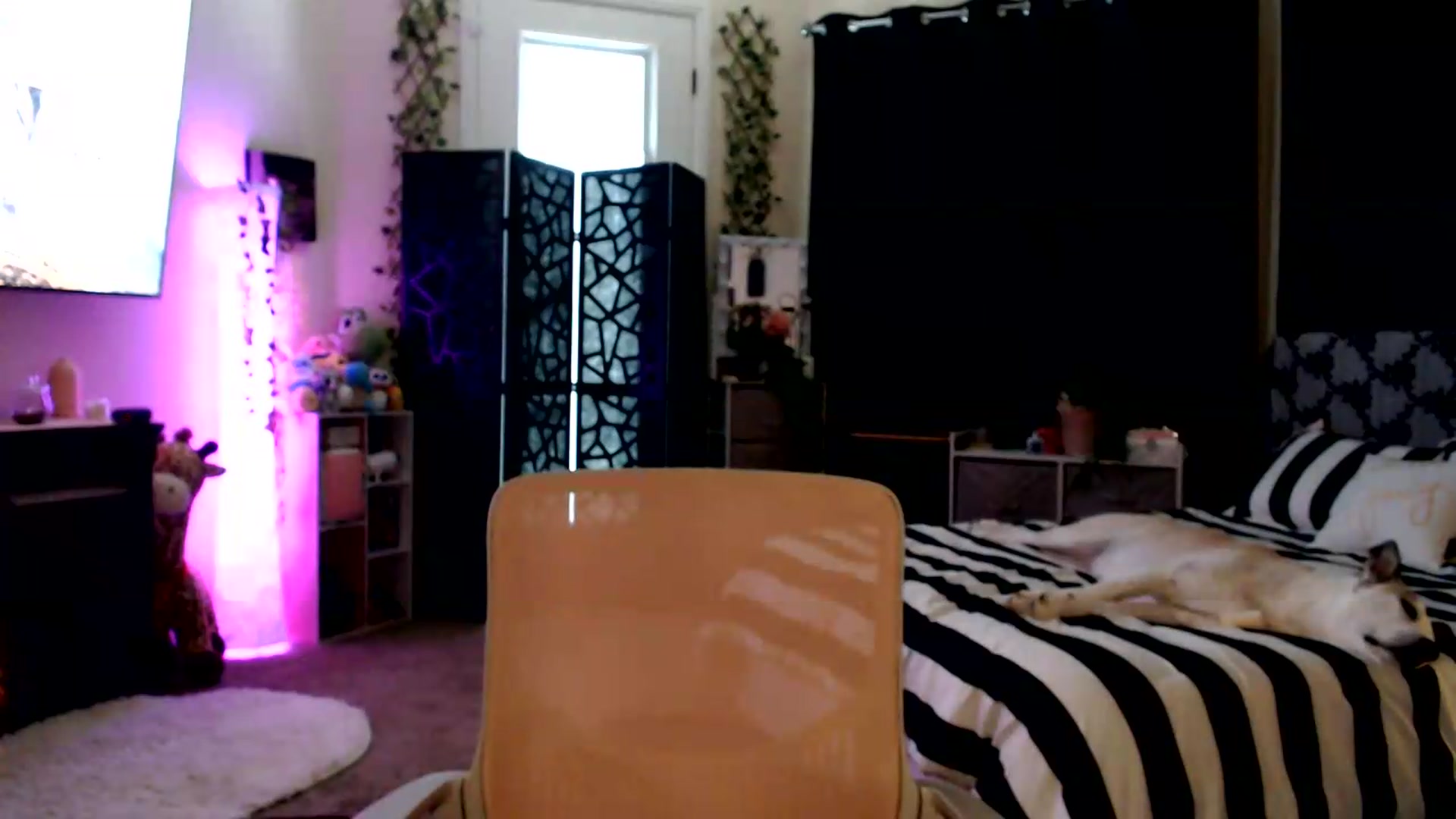 Gallery image thumbnail from HeidiKlumsy's myfreecams stream on, 08/18/2026, 21:44 image 8 of 20