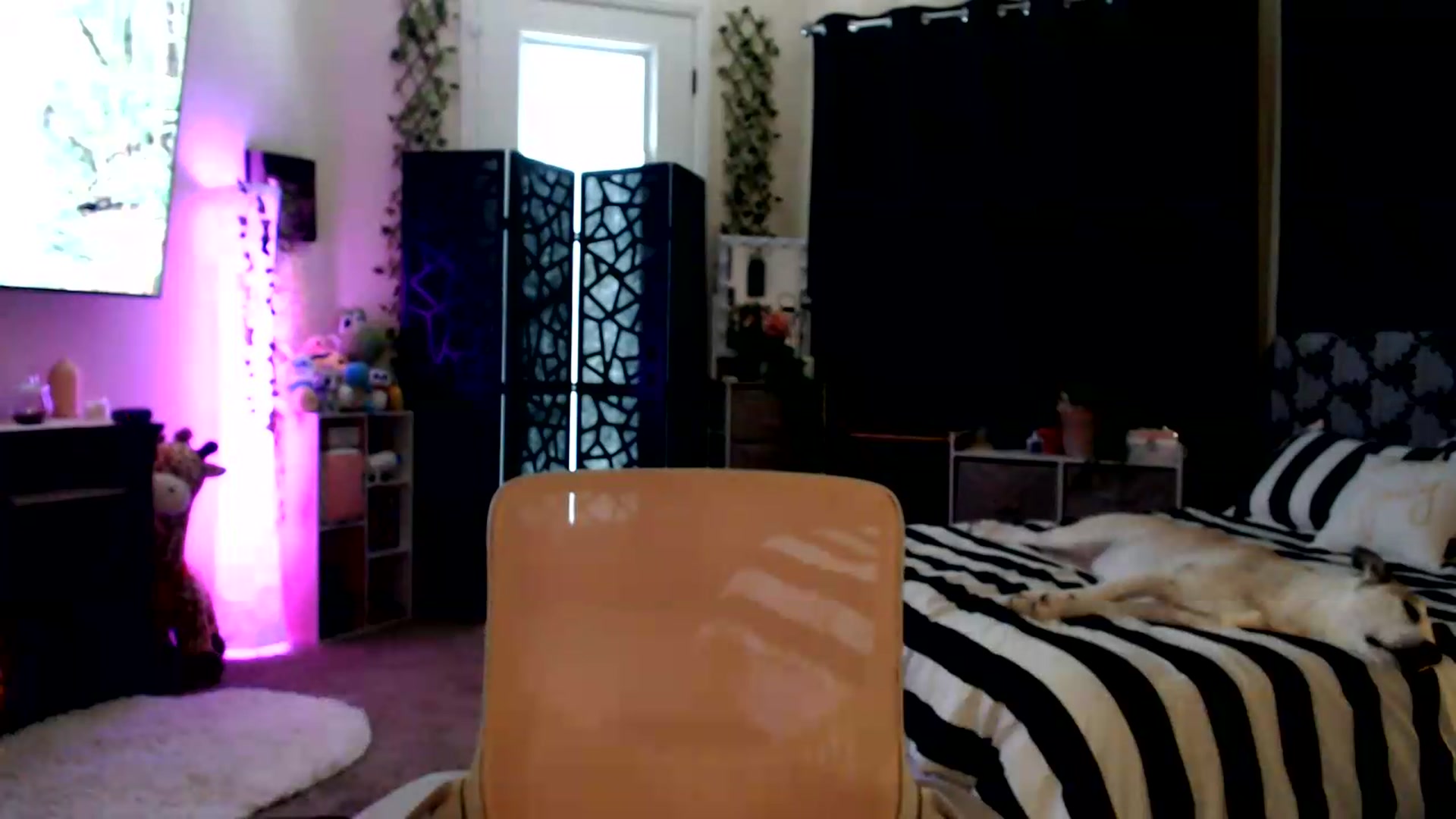 Gallery image thumbnail from HeidiKlumsy's myfreecams stream on, 08/18/2026, 21:44 image 10 of 20