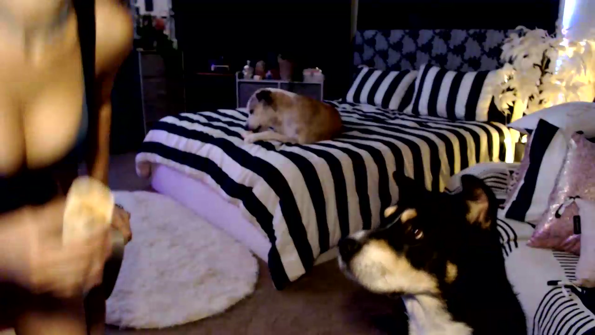 Gallery image thumbnail from HeidiKlumsy's myfreecams stream on, 08/19/2026, 22:44 image 9 of 20