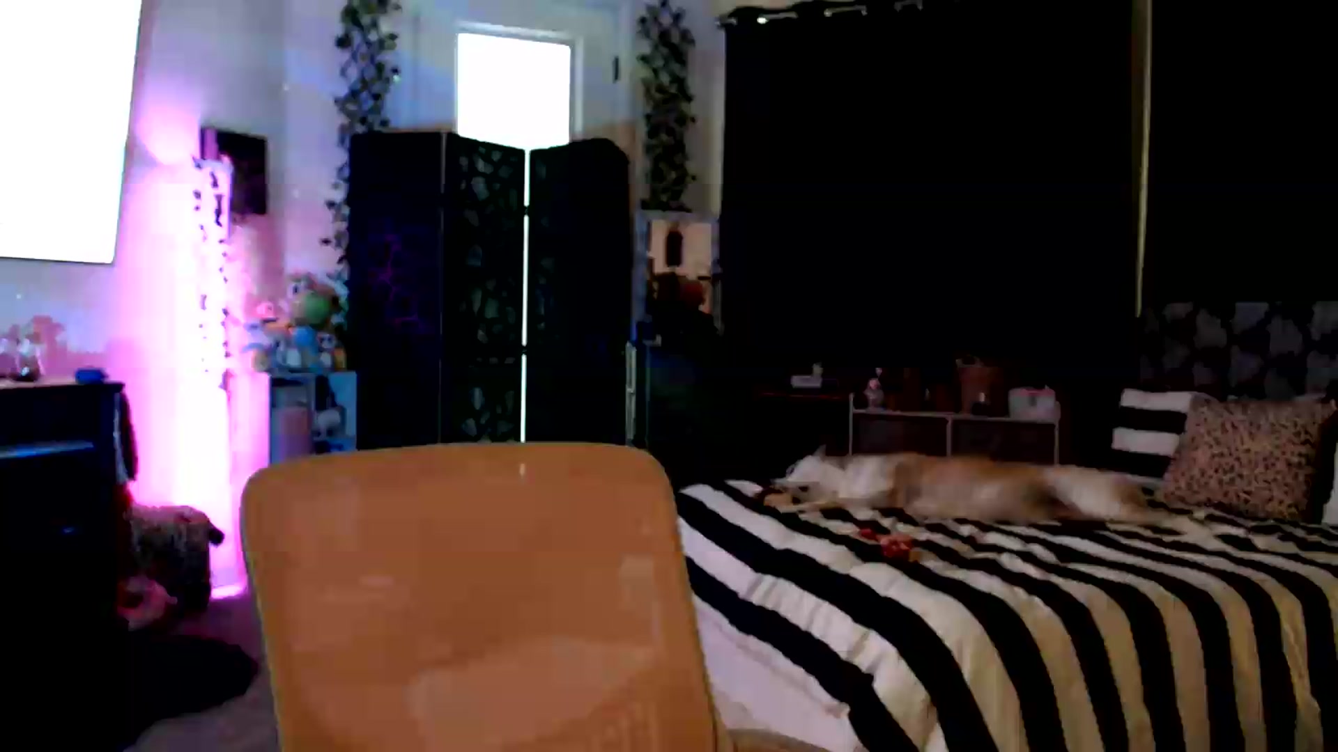 Gallery image thumbnail from HeidiKlumsy's myfreecams stream on, 08/21/2026, 01:40 image 4 of 20