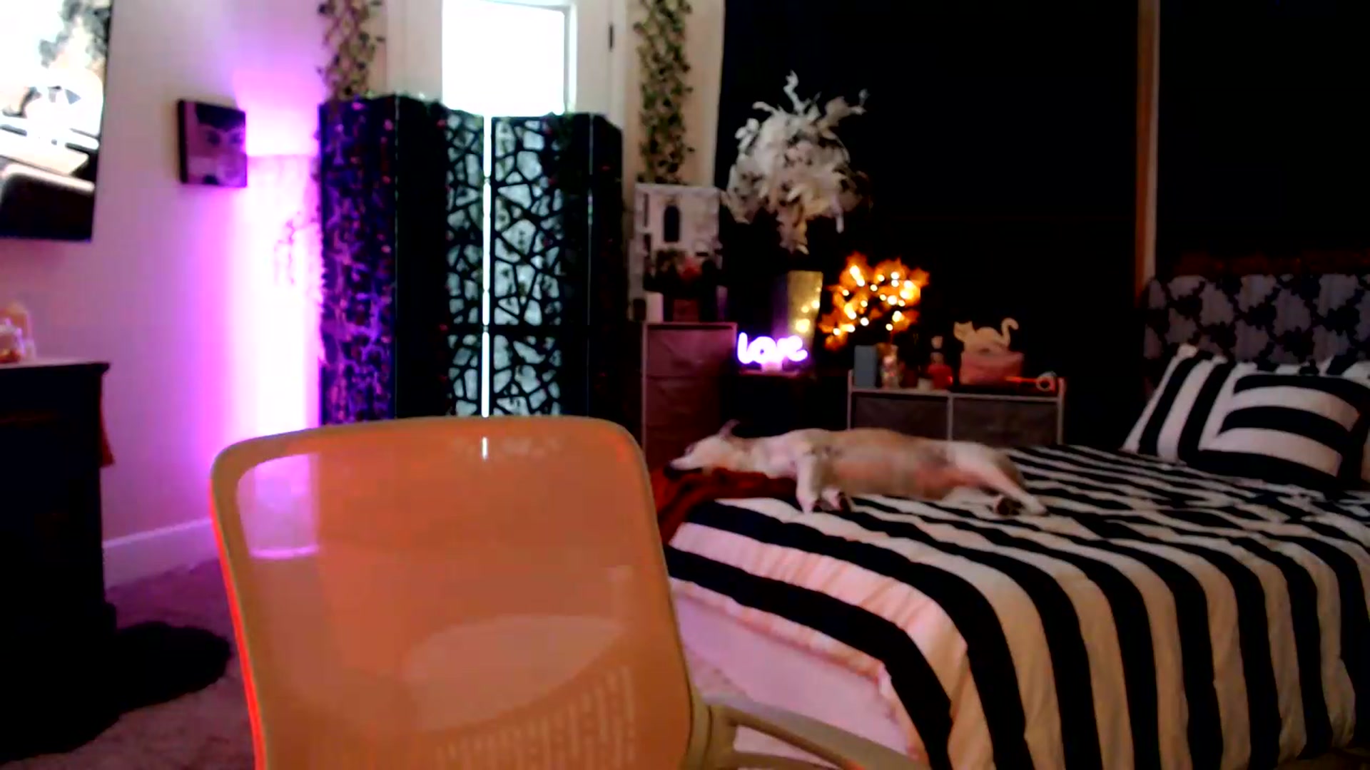 Gallery image thumbnail from HeidiKlumsy's myfreecams stream on, 08/29/2026, 23:23 image 4 of 20