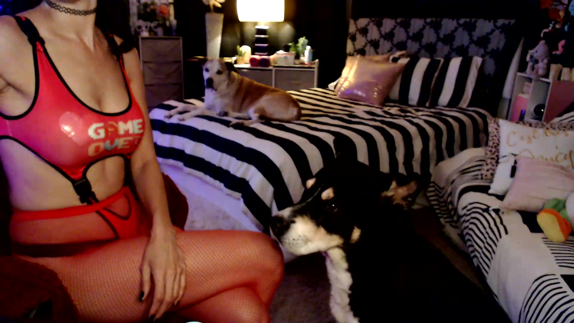 Gallery image thumbnail from HeidiKlumsy's myfreecams stream on, 09/04/2026, 04:32 image 8 of 20