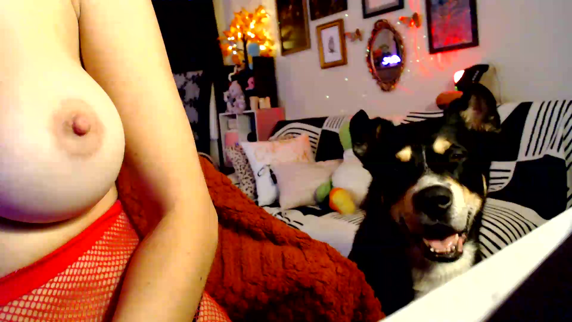 Gallery image thumbnail from HeidiKlumsy's myfreecams stream on, 09/04/2026, 05:44 image 16 of 20
