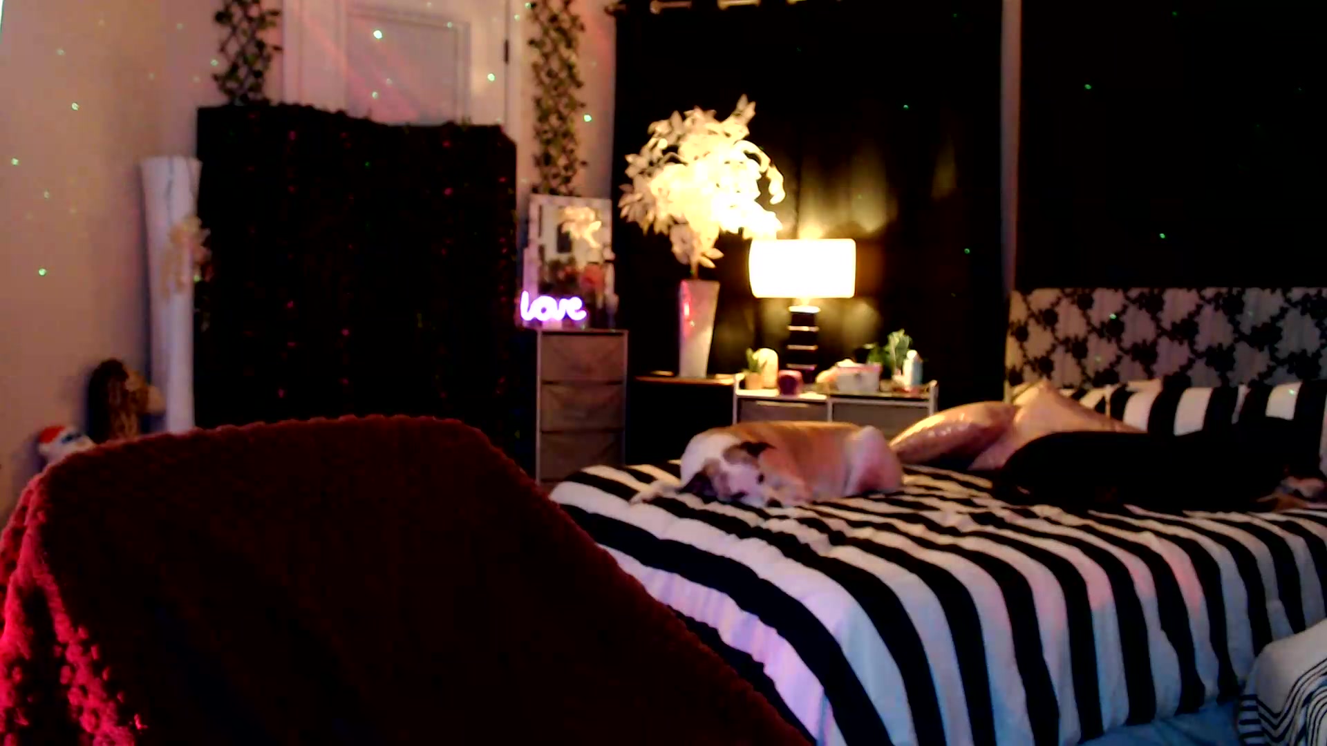 Gallery image thumbnail from HeidiKlumsy's myfreecams stream on, 09/04/2026, 07:04 image 14 of 20