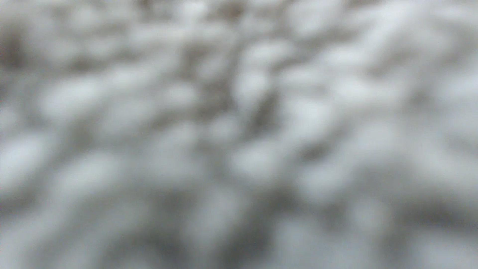 Gallery image thumbnail from Heidi_Wow's myfreecams stream on, 09/18/2023, 03:07 image 14 of 20