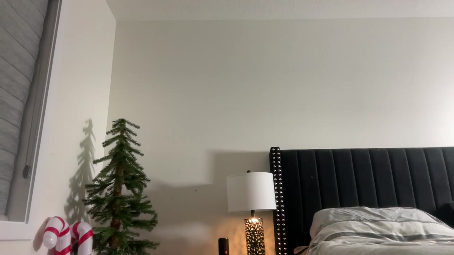 Gallery image thumbnail from Heidi_Wow's myfreecams stream on, 12/24/2025, 05:16 image 14 of 20