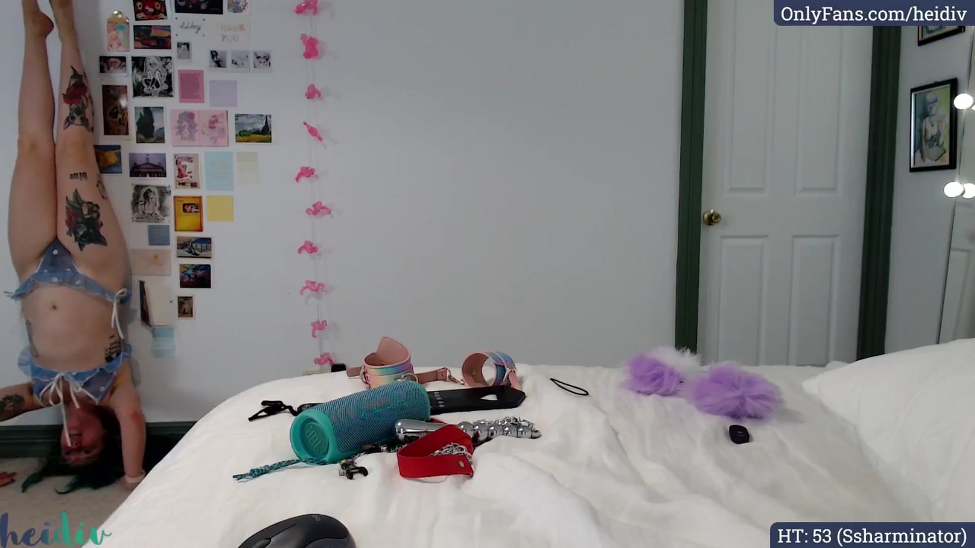 Gallery image thumbnail from Heidiv's myfreecams stream on, 12/08/2024, 24:17 image 13 of 20