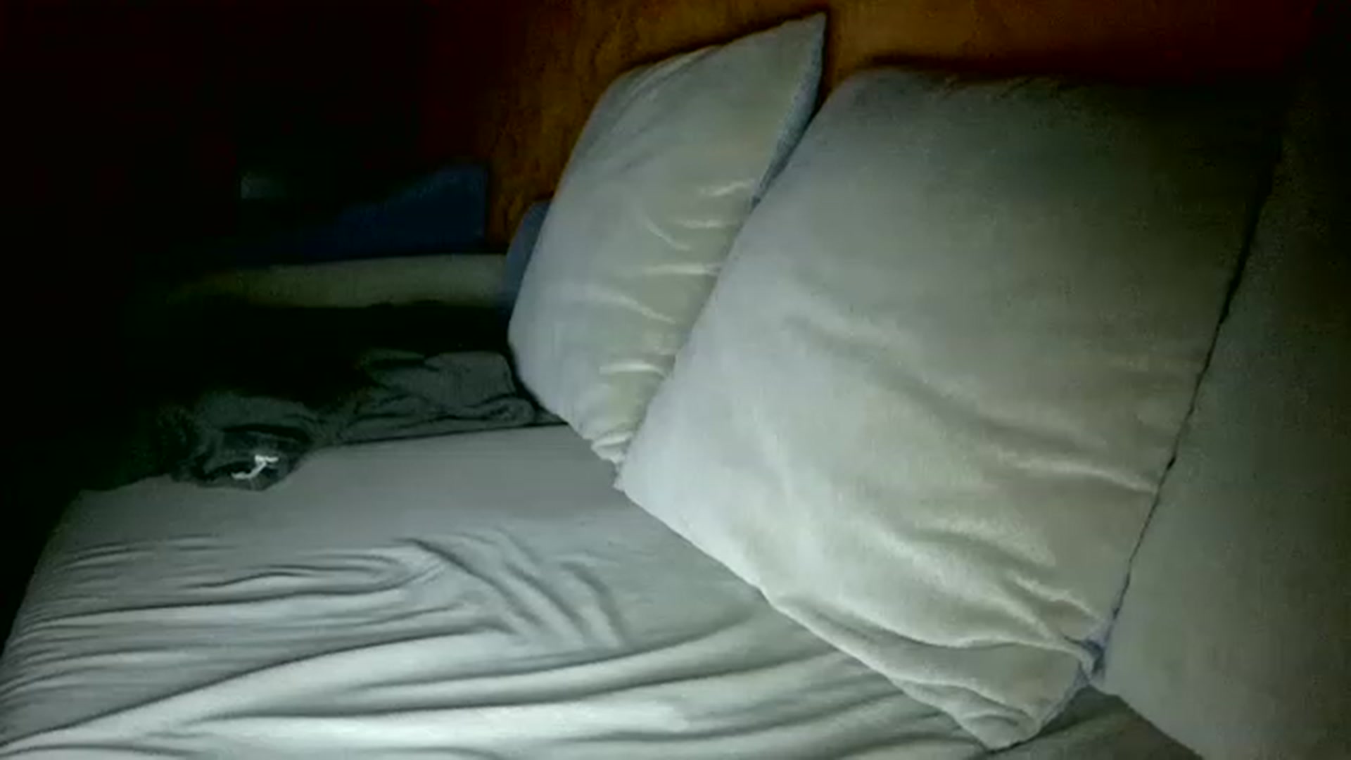 Gallery image thumbnail from HelenOcean's myfreecams stream on, 11/26/2022, 14:13 image 14 of 20