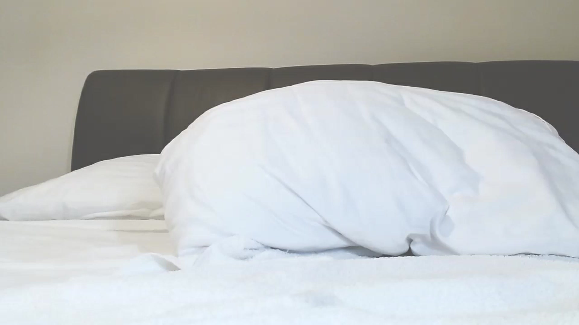 Gallery image thumbnail from Helenadoll's myfreecams stream on, 02/15/2023, 19:44 image 15 of 20