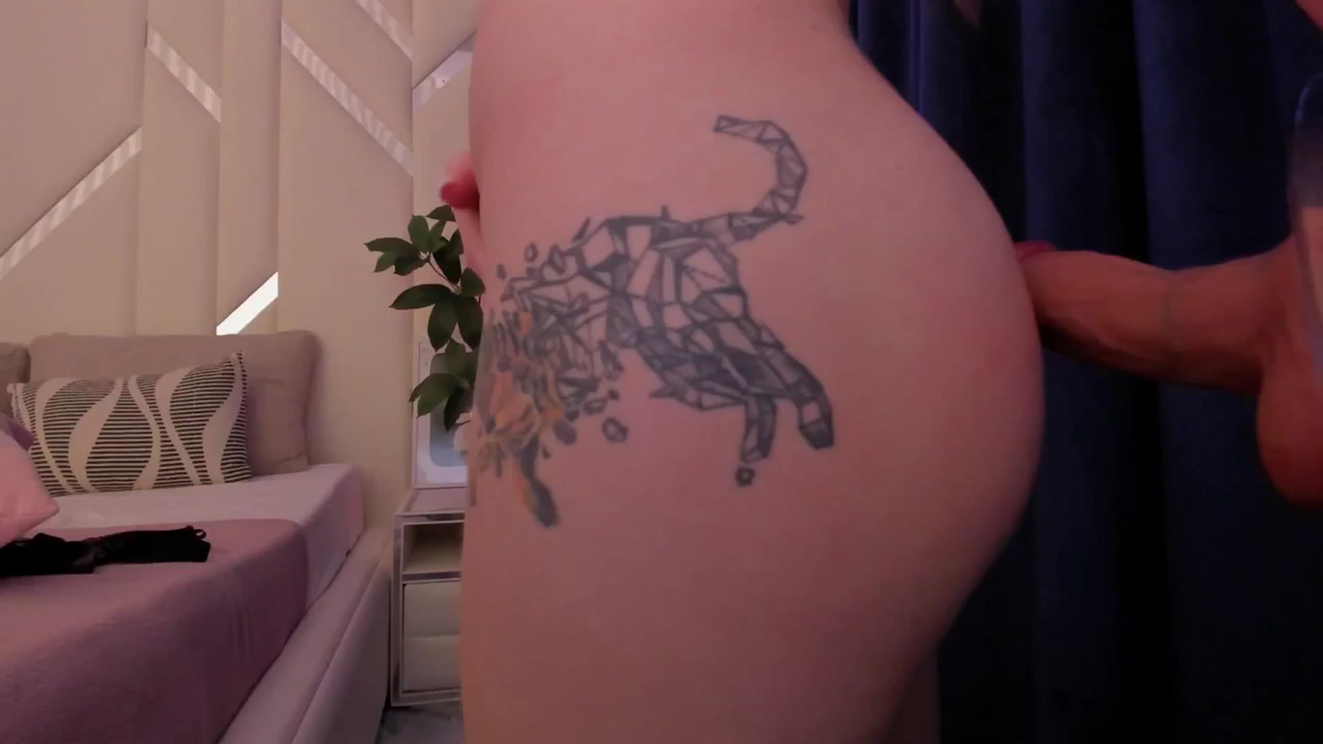 Gallery image thumbnail from Heleyybaylee's myfreecams stream on, 03/19/2025, 24:00 image 15 of 20