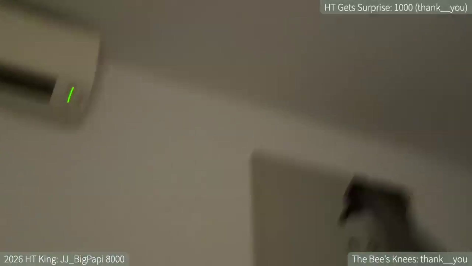 Gallery image thumbnail from HelloViv's myfreecams stream on, 08/14/2026, 24:02 image 12 of 20