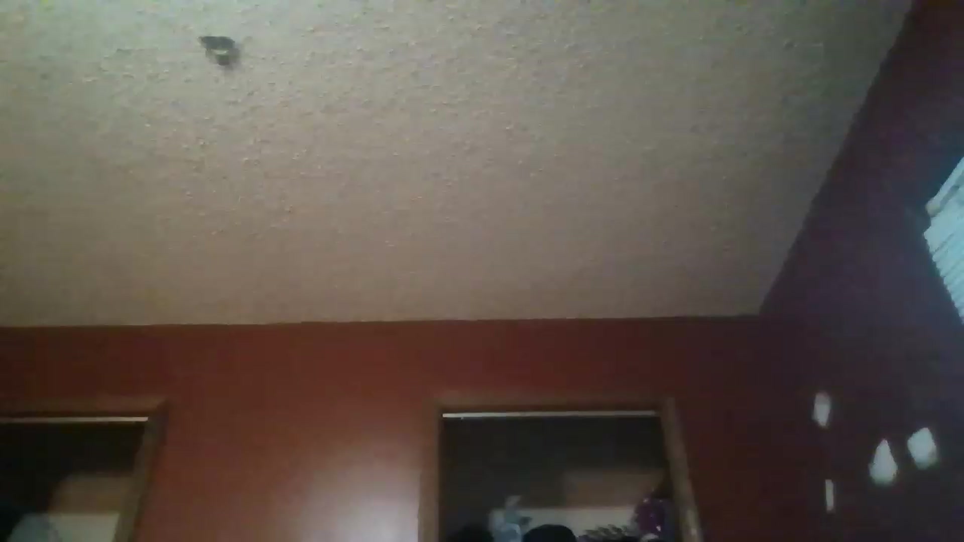 Gallery image thumbnail from HellzVixxxen's myfreecams stream on, 11/23/2022, 12:15 image 10 of 20