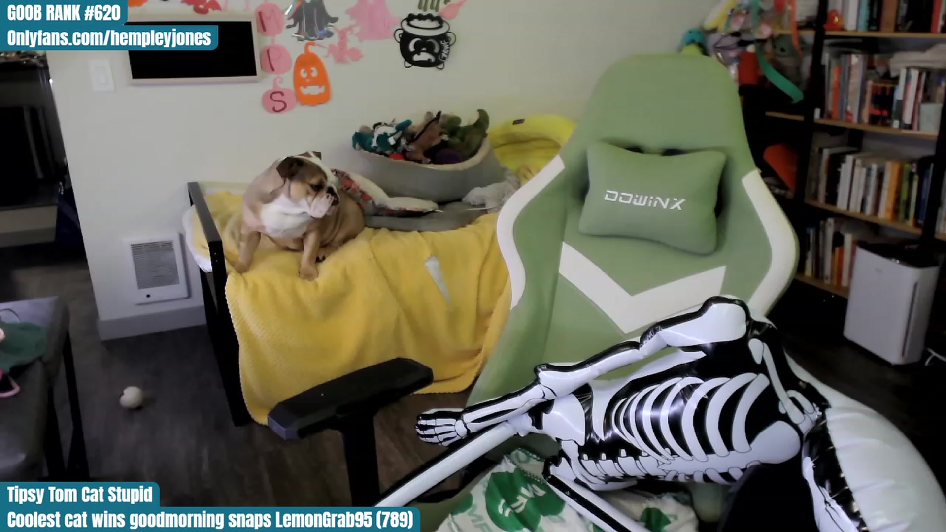Gallery image thumbnail from Hempley's myfreecams stream on, 10/28/2023, 02:32 image 9 of 20