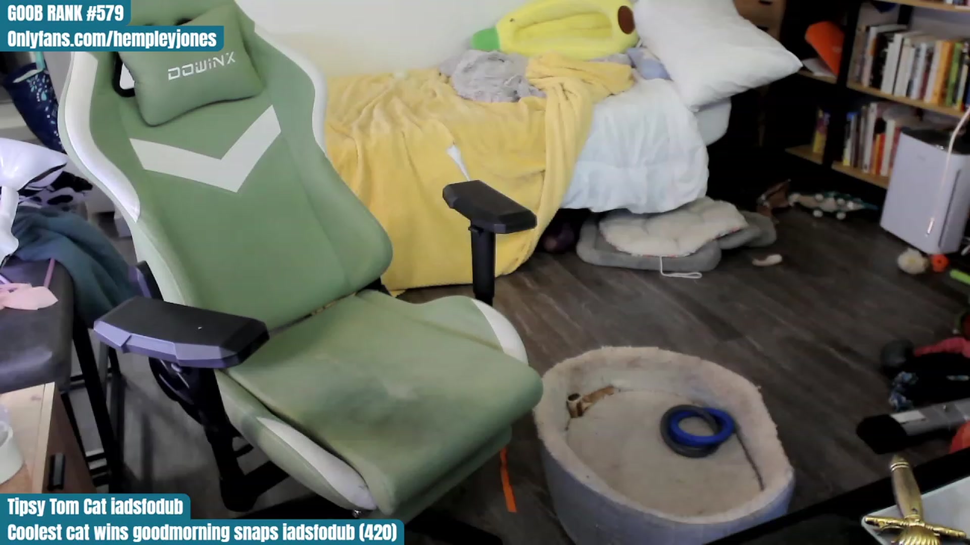 Gallery image thumbnail from Hempley's myfreecams stream on, 10/29/2023, 24:02 image 19 of 20