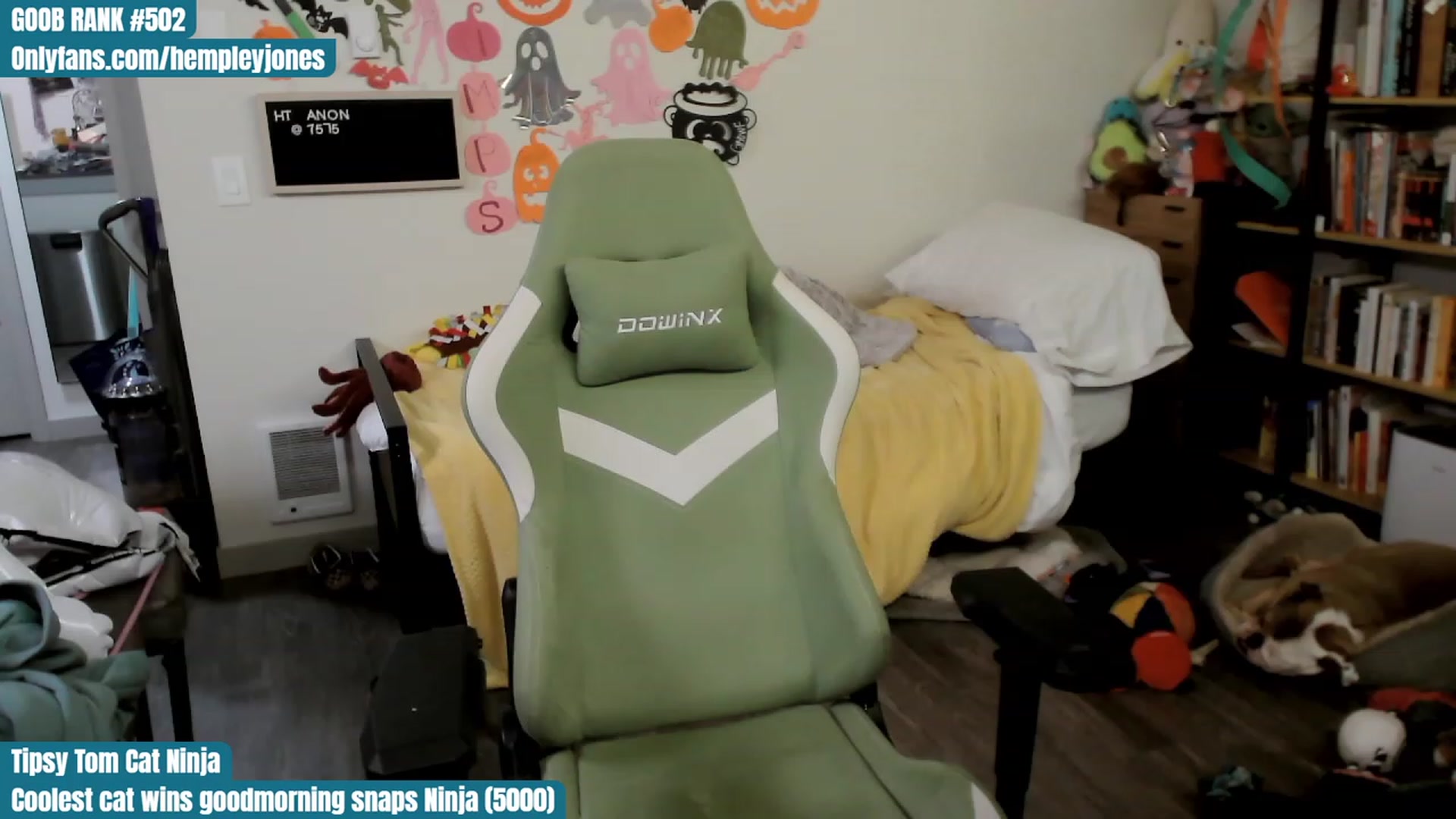 Gallery image thumbnail from Hempley's myfreecams stream on, 10/31/2023, 03:02 image 5 of 20