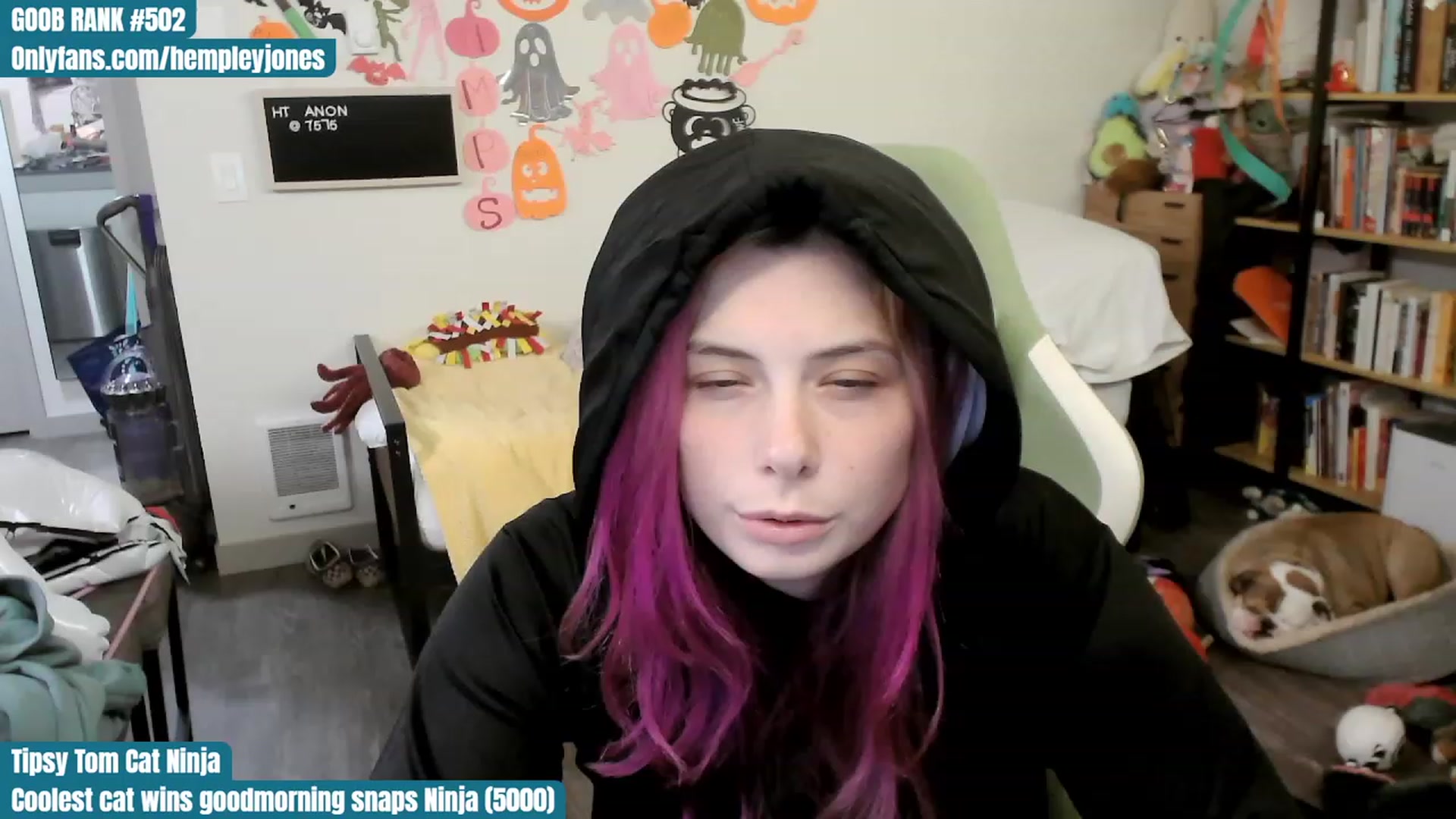 Gallery image thumbnail from Hempley's myfreecams stream on, 10/31/2023, 03:02 image 7 of 20