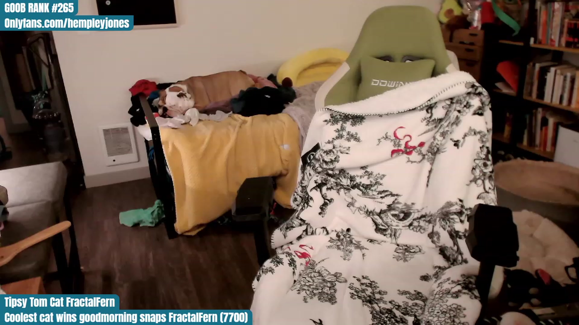 Gallery image thumbnail from Hempley's myfreecams stream on, 11/04/2023, 02:10 image 11 of 20