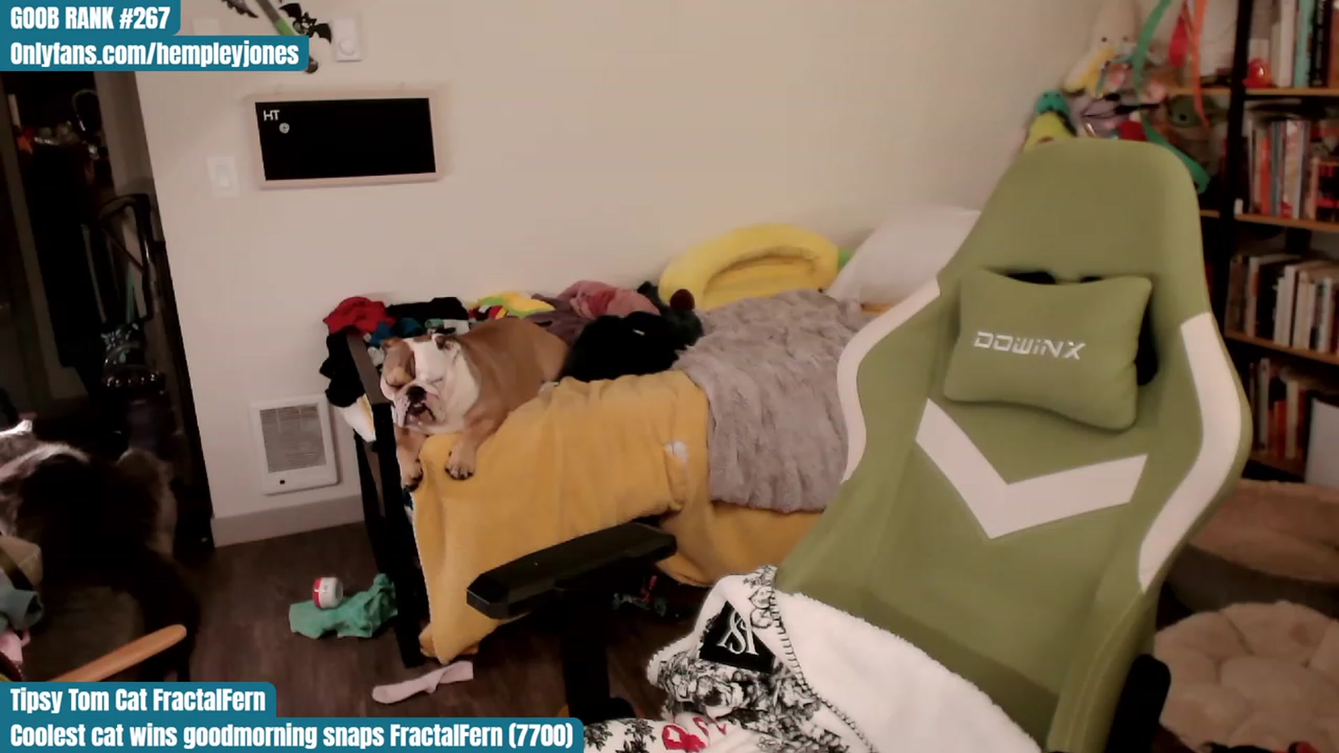 Gallery image thumbnail from Hempley's myfreecams stream on, 11/04/2023, 02:10 image 19 of 20