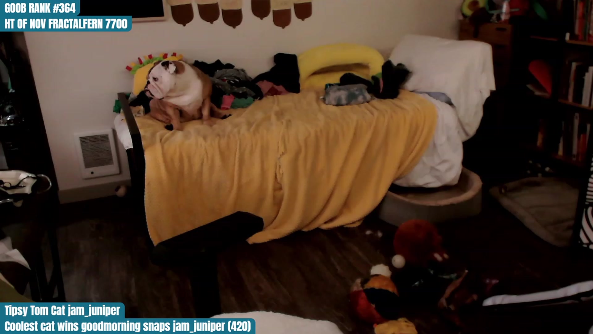 Gallery image thumbnail from Hempley's myfreecams stream on, 11/07/2023, 01:00 image 20 of 20