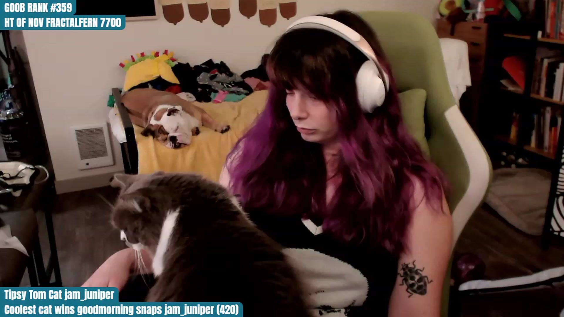 Gallery image thumbnail from Hempley's myfreecams stream on, 11/07/2023, 01:29 image 17 of 20