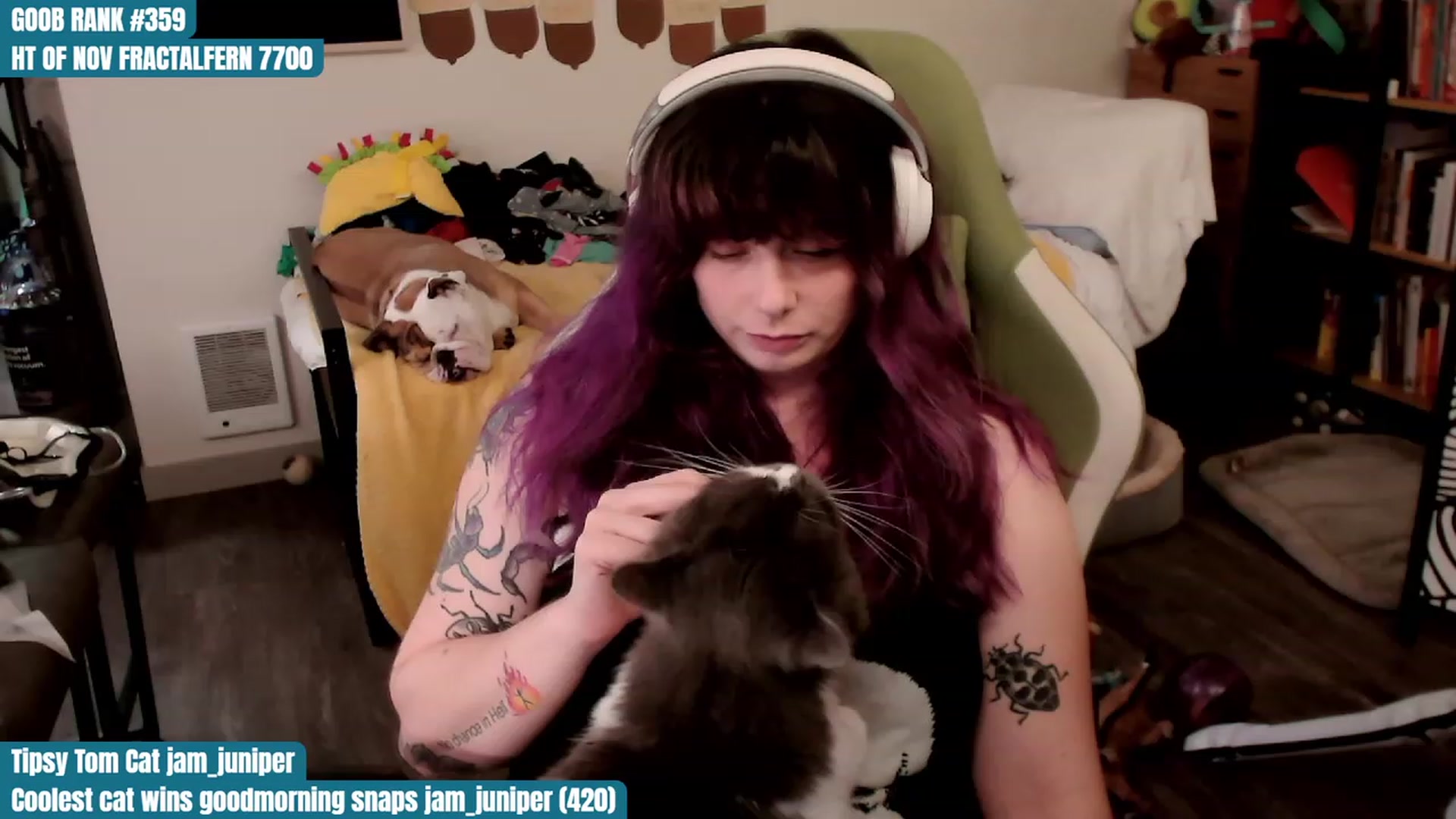 Gallery image thumbnail from Hempley's myfreecams stream on, 11/07/2023, 01:29 image 16 of 20