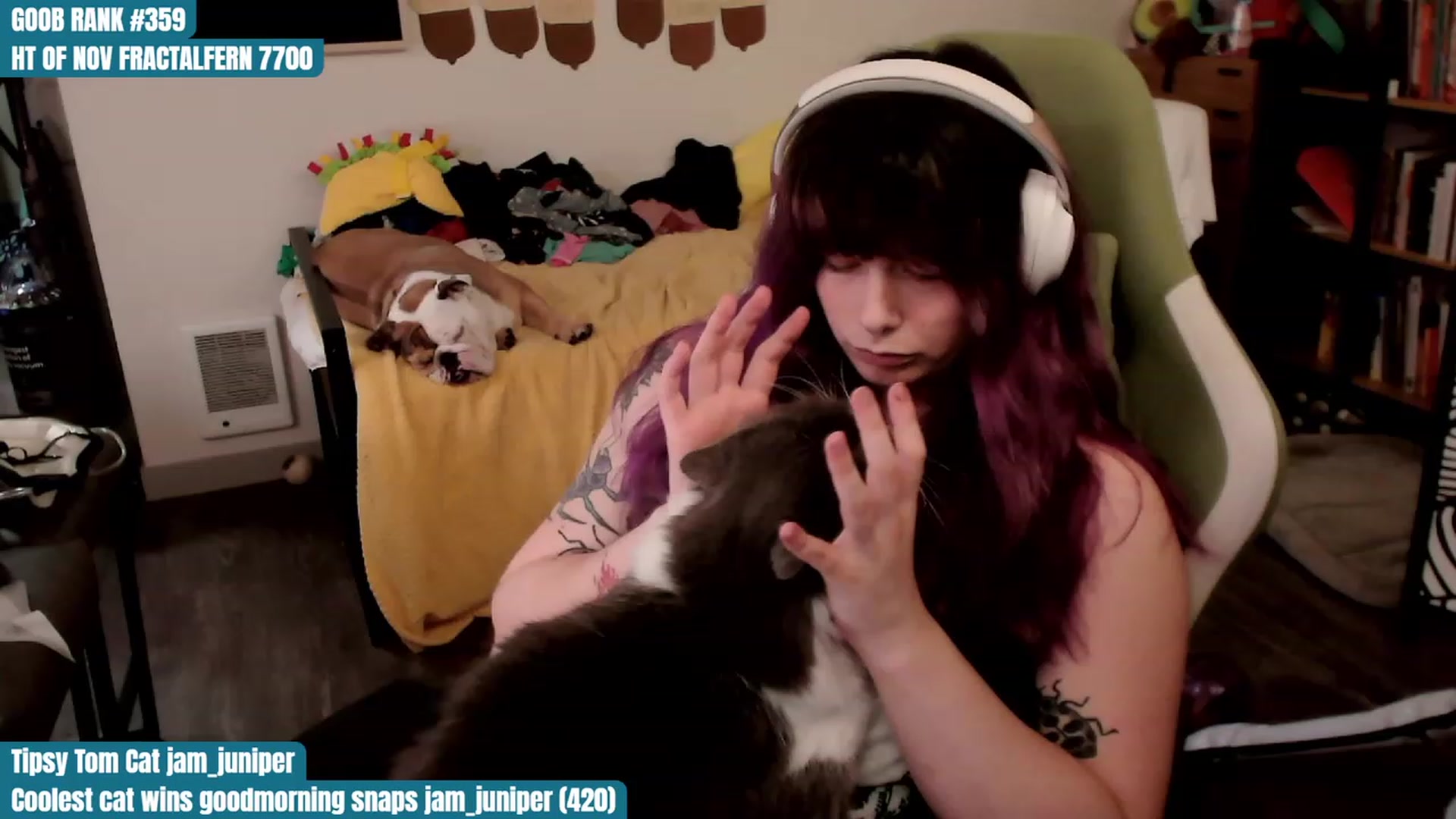 Gallery image thumbnail from Hempley's myfreecams stream on, 11/07/2023, 01:29 image 18 of 20