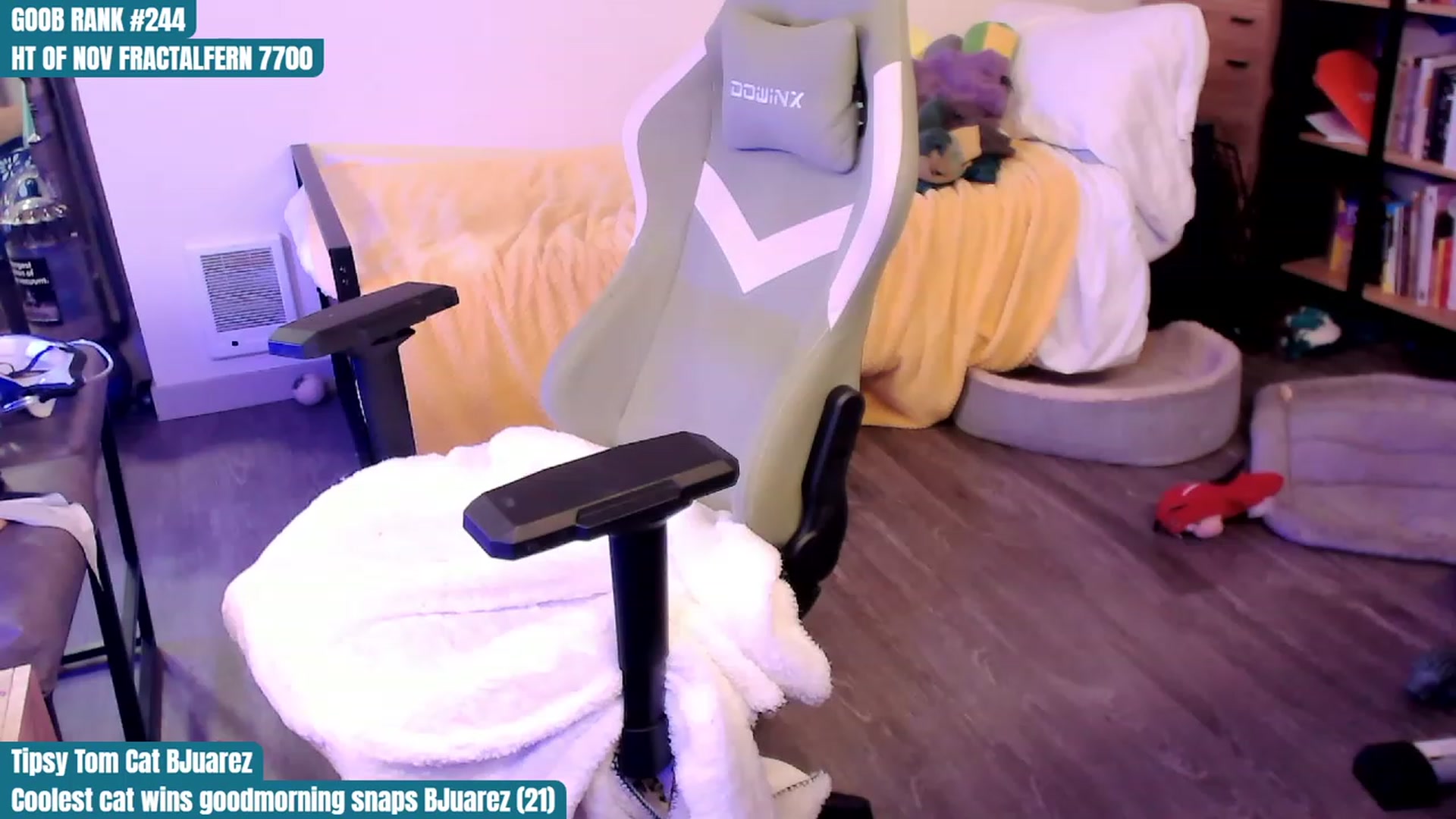 Gallery image thumbnail from Hempley's myfreecams stream on, 11/08/2023, 02:30 image 9 of 20