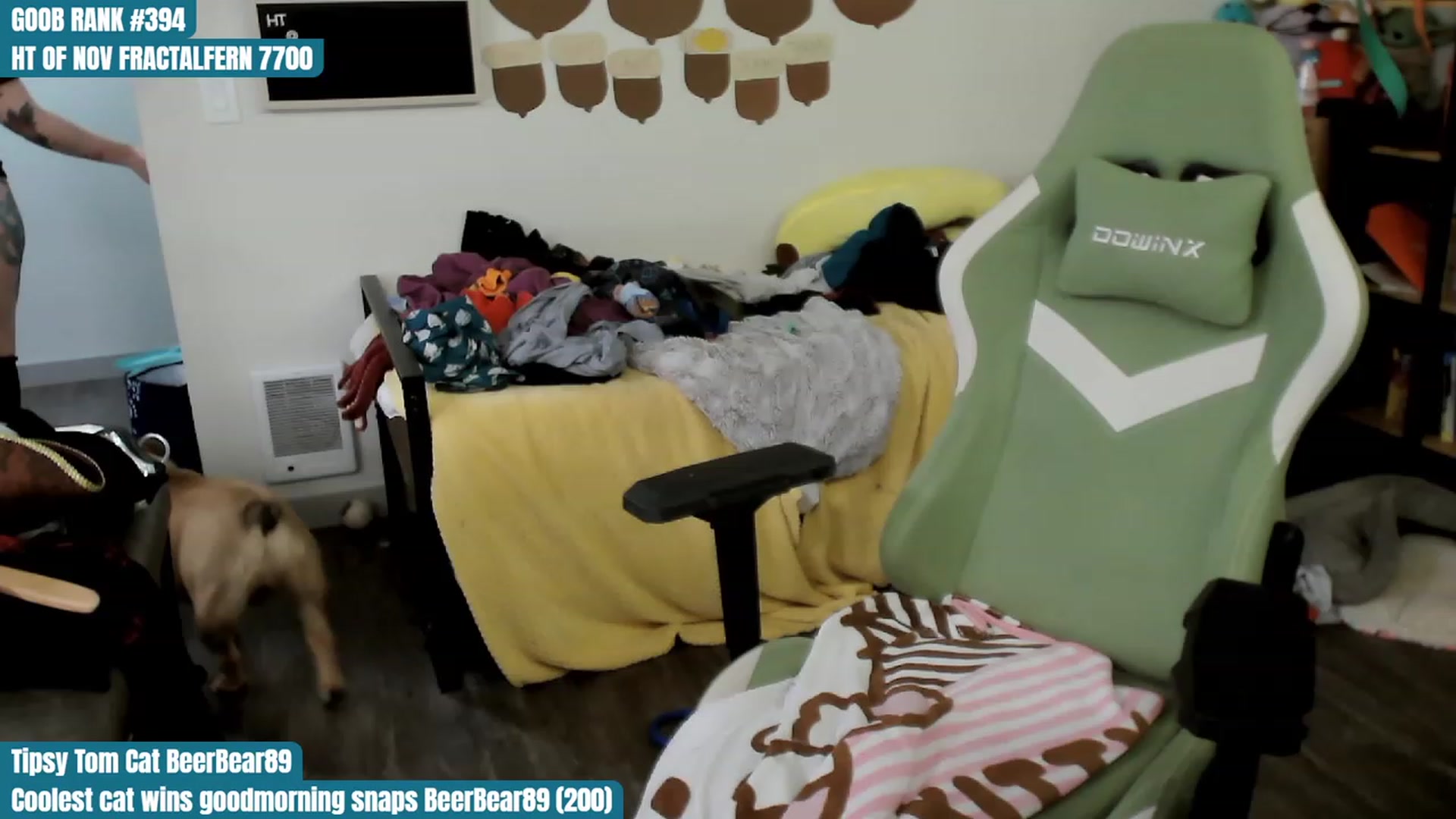 Gallery image thumbnail from Hempley's myfreecams stream on, 11/11/2023, 02:54 image 2 of 20