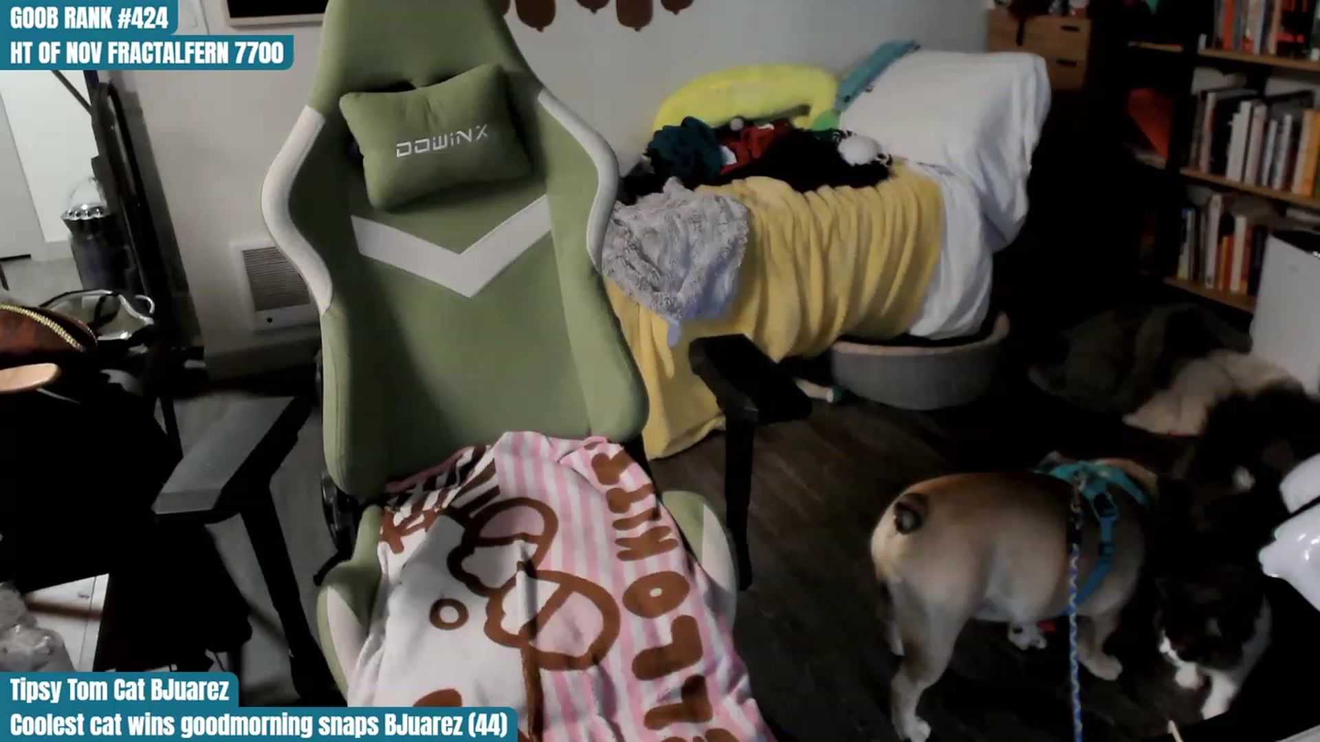 Gallery image thumbnail from Hempley's myfreecams stream on, 11/11/2023, 18:16 image 16 of 20