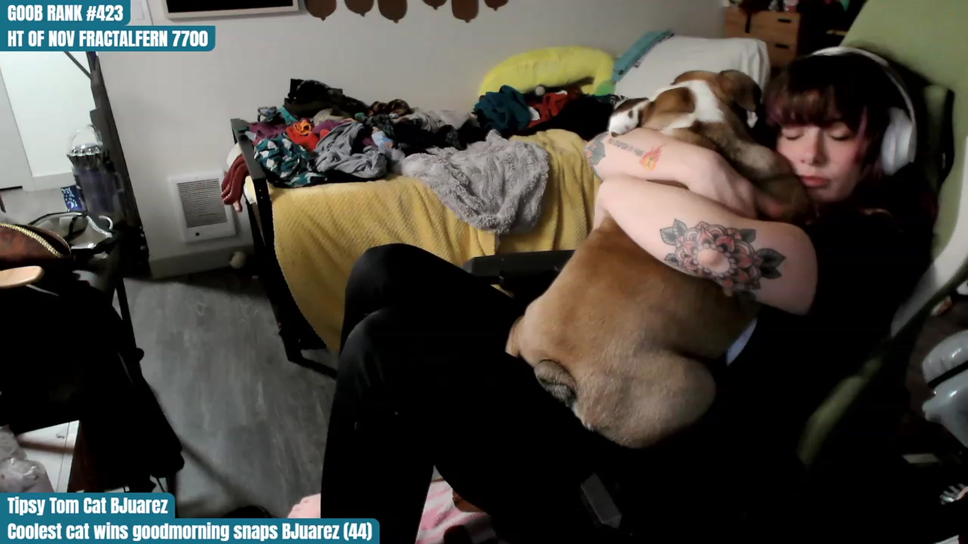 Gallery image thumbnail from Hempley's myfreecams stream on, 11/11/2023, 18:16 image 11 of 20