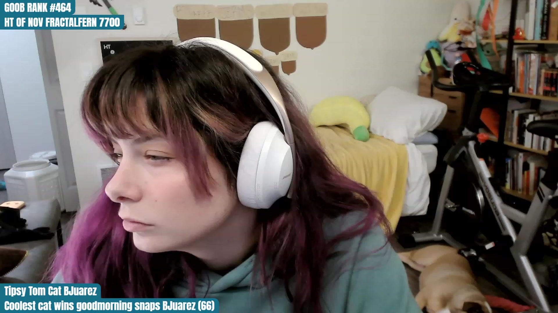Gallery image thumbnail from Hempley's myfreecams stream on, 11/14/2023, 01:27 image 18 of 20