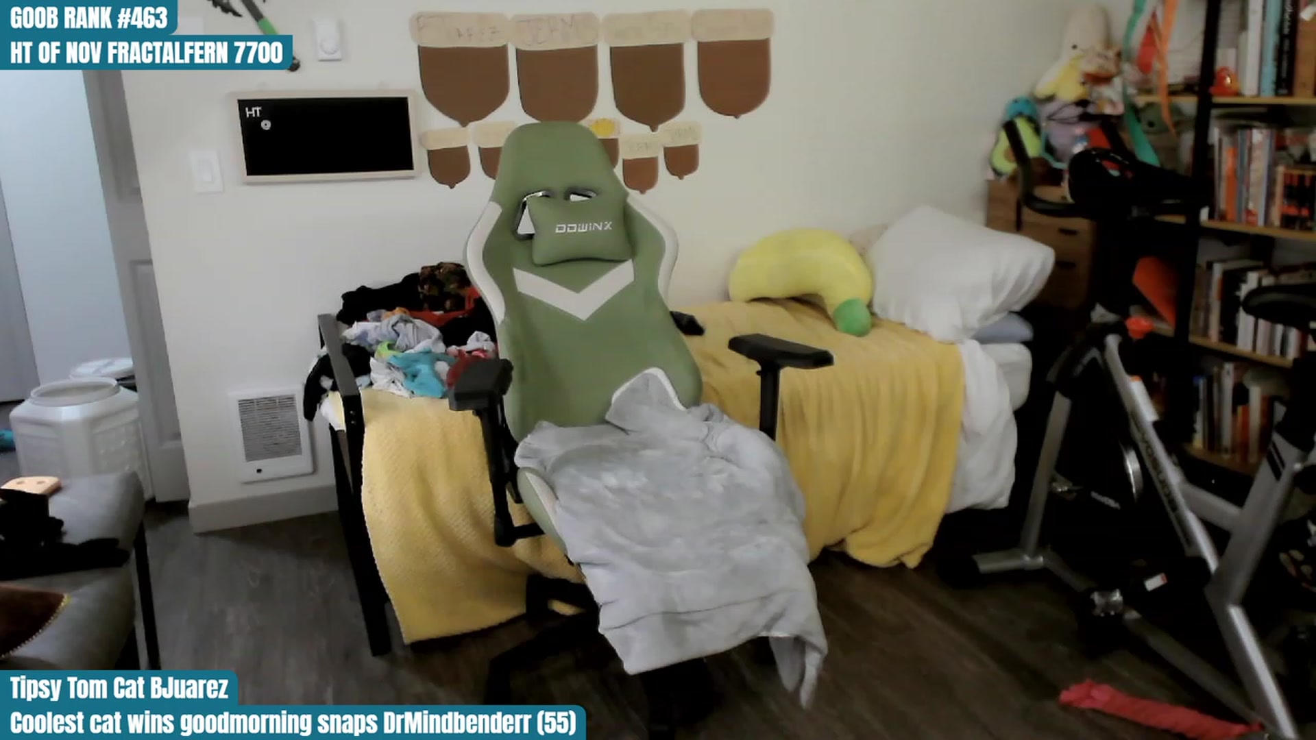 Gallery image thumbnail from Hempley's myfreecams stream on, 11/14/2023, 01:27 image 4 of 20