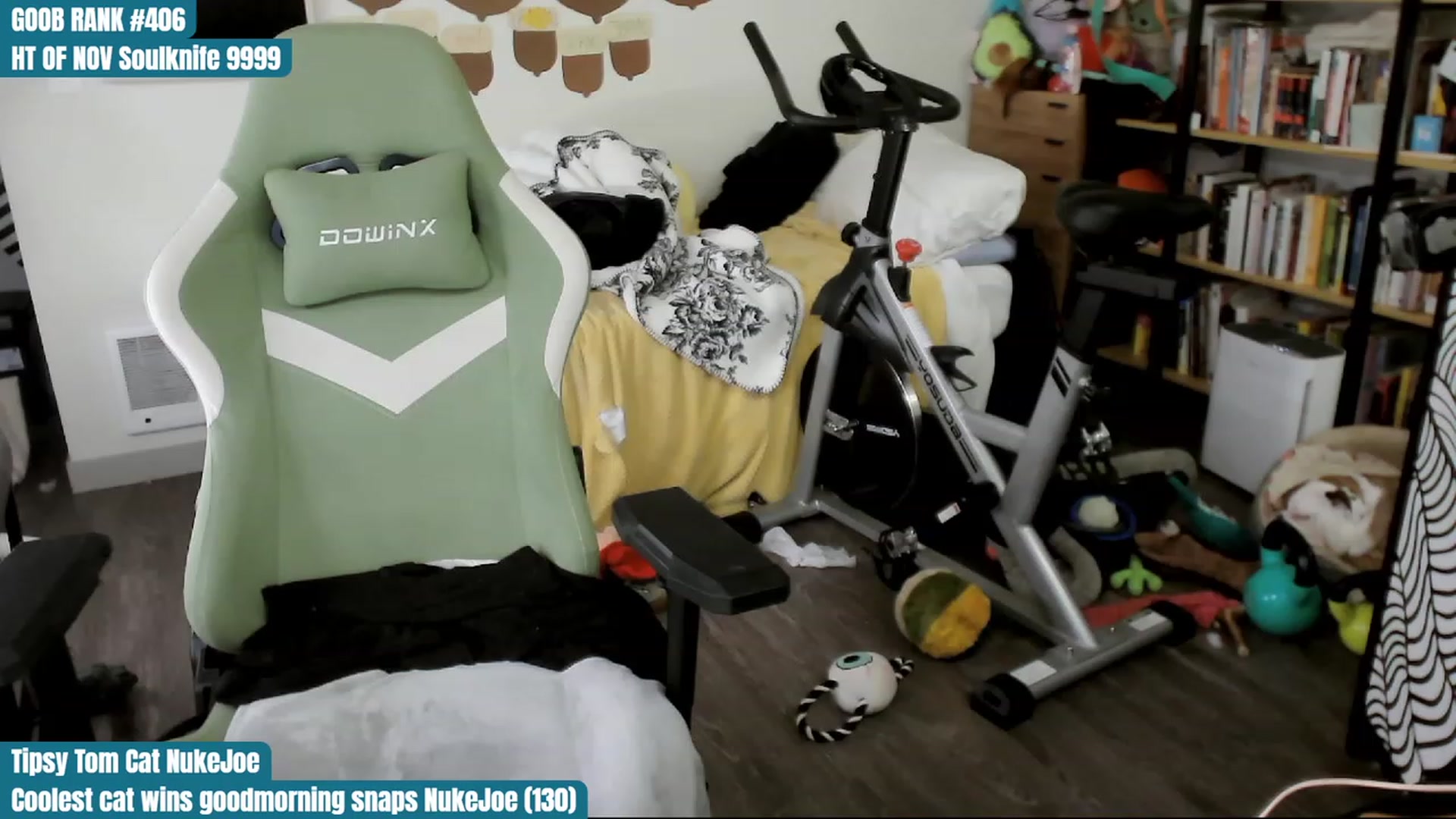 Gallery image thumbnail from Hempley's myfreecams stream on, 11/17/2023, 04:01 image 12 of 20