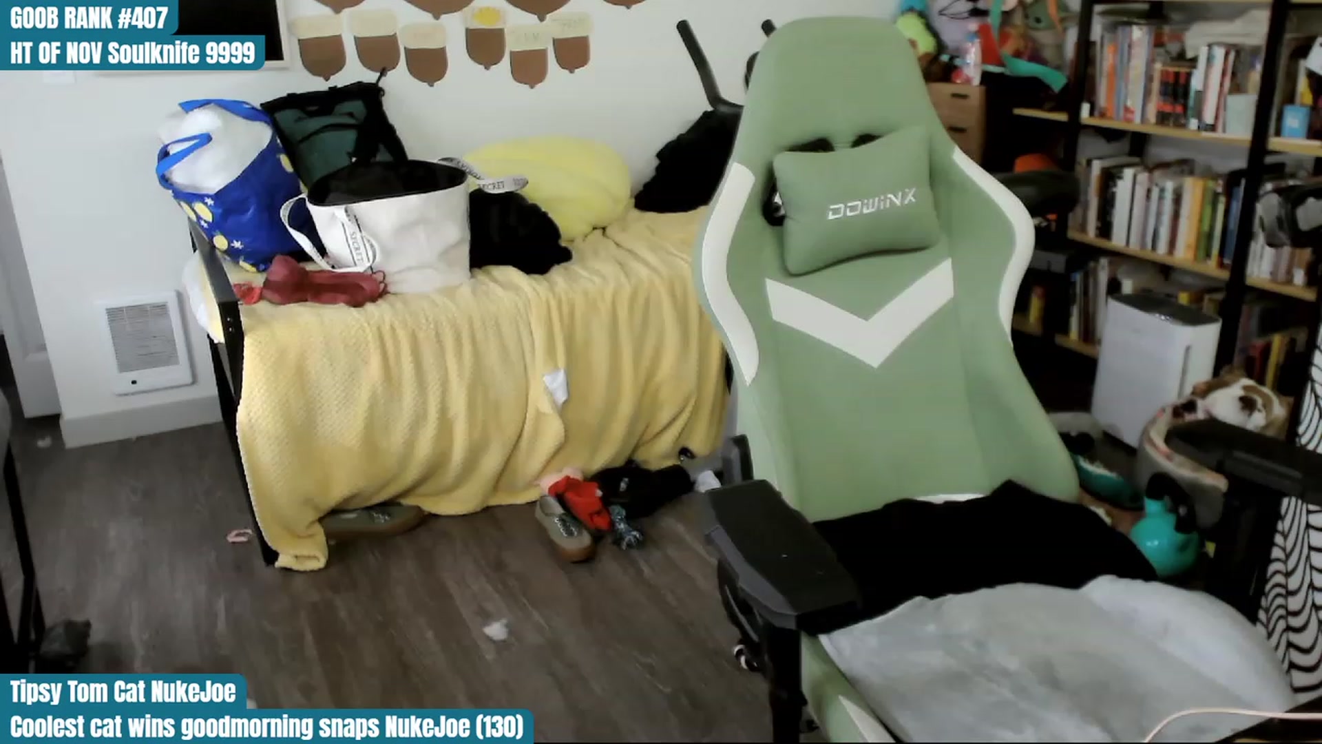 Gallery image thumbnail from Hempley's myfreecams stream on, 11/17/2023, 04:01 image 16 of 20