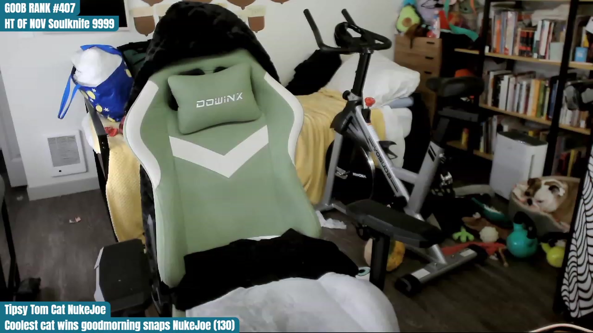 Gallery image thumbnail from Hempley's myfreecams stream on, 11/17/2023, 04:01 image 17 of 20