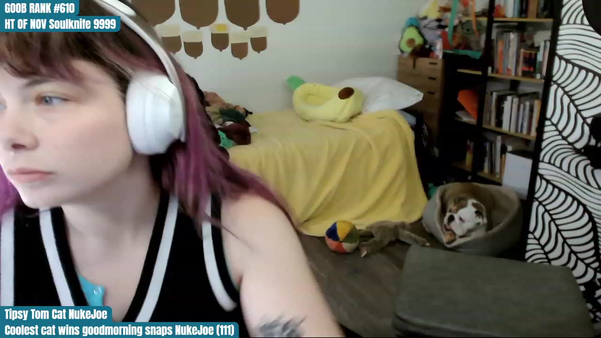 Gallery image thumbnail from Hempley's myfreecams stream on, 11/23/2023, 17:07 image 12 of 20
