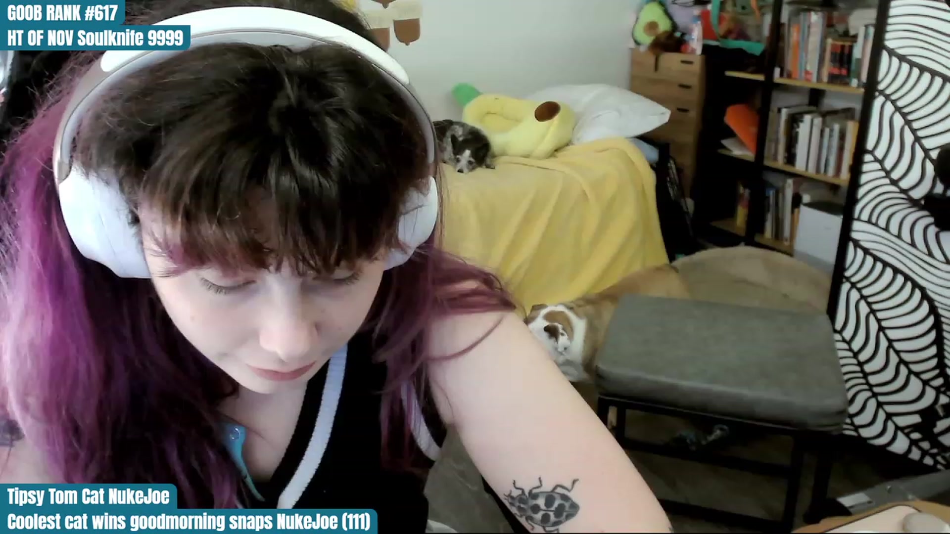 Gallery image thumbnail from Hempley's myfreecams stream on, 11/23/2023, 17:07 image 7 of 20