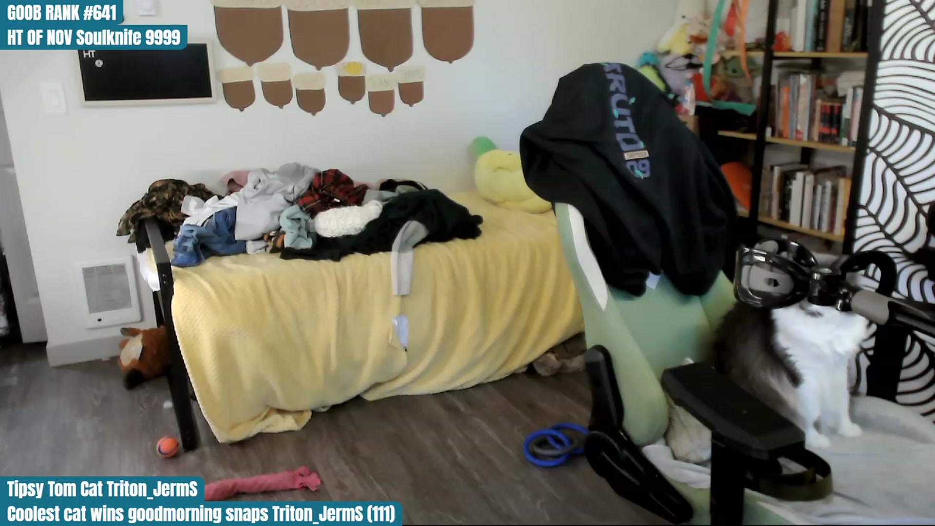 Gallery image thumbnail from Hempley's myfreecams stream on, 11/24/2023, 23:11 image 4 of 20