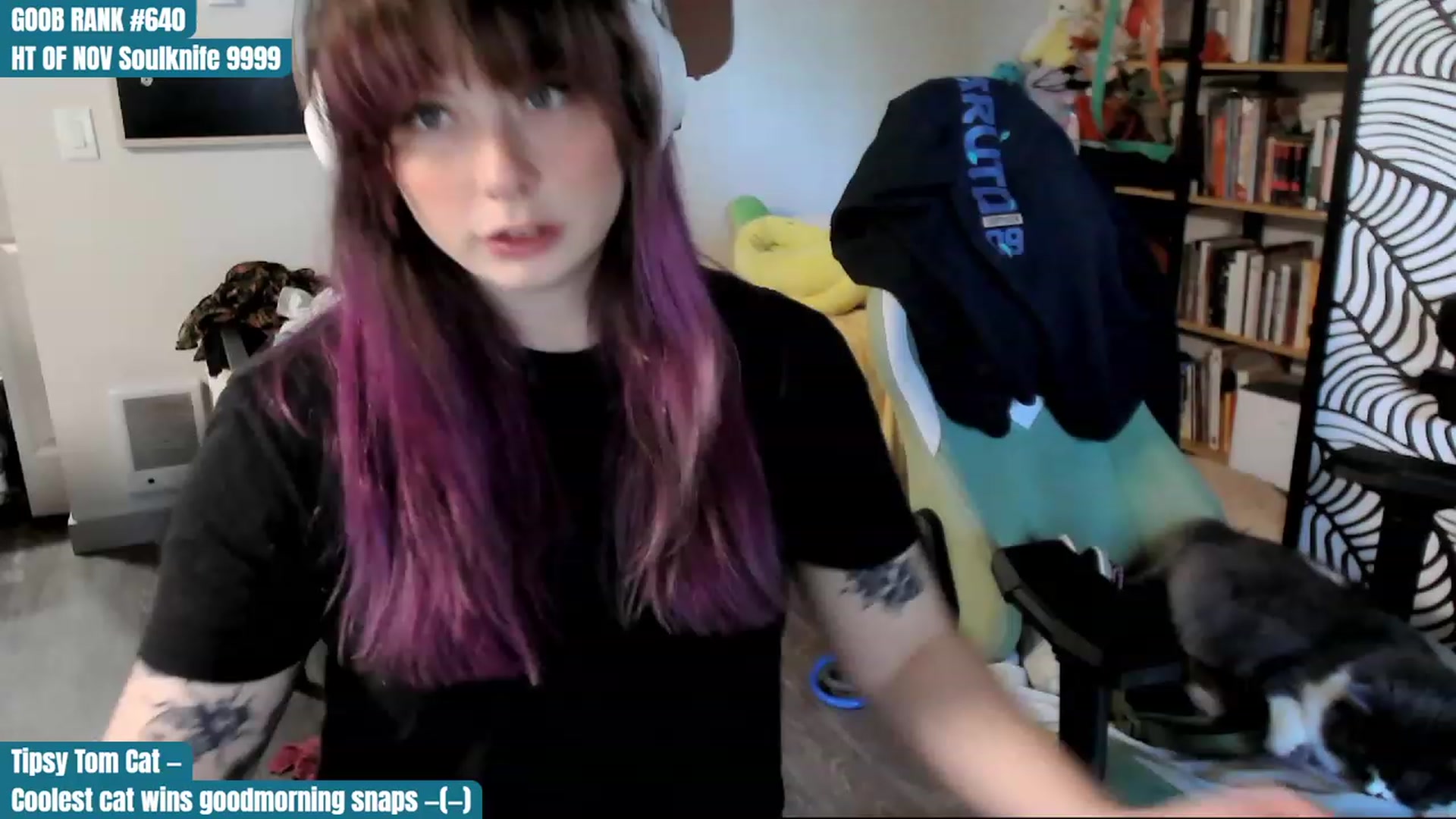 Gallery image thumbnail from Hempley's myfreecams stream on, 11/24/2023, 23:11 image 1 of 20