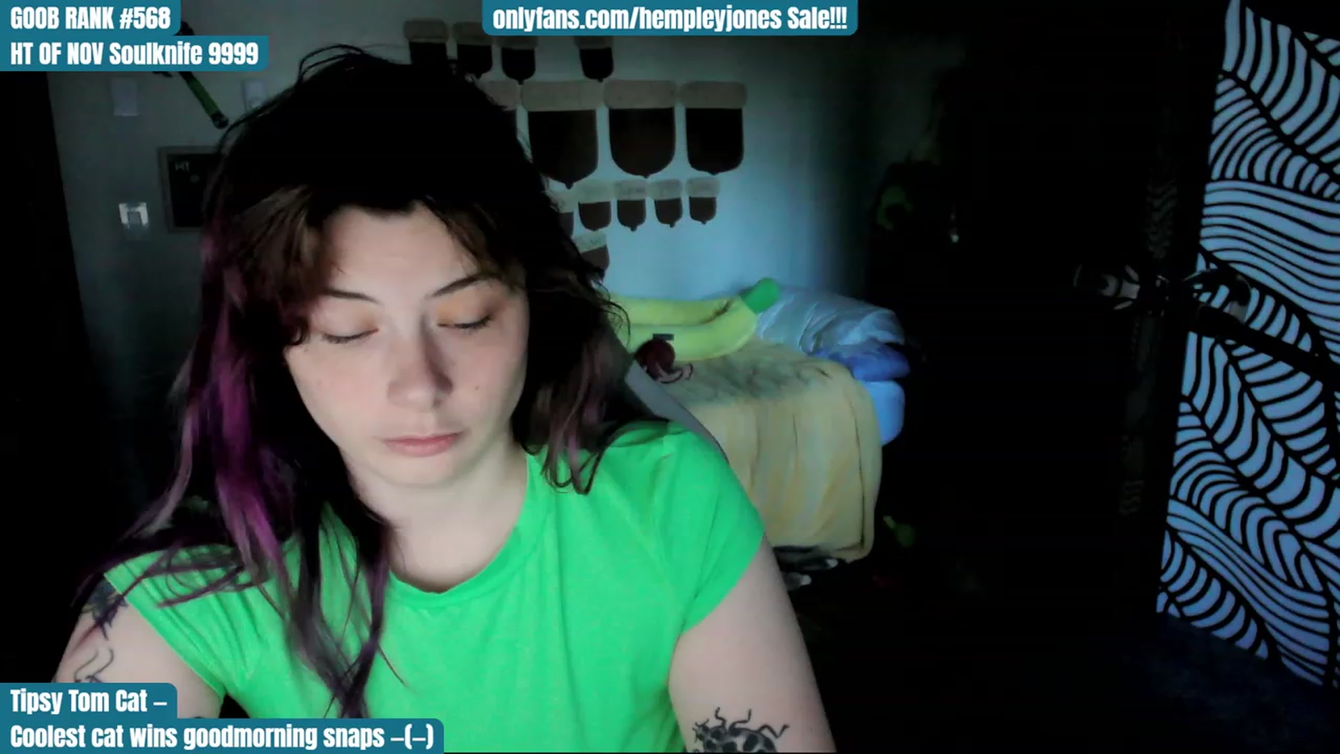 Gallery image thumbnail from Hempley's myfreecams stream on, 11/25/2023, 18:19 image 2 of 20