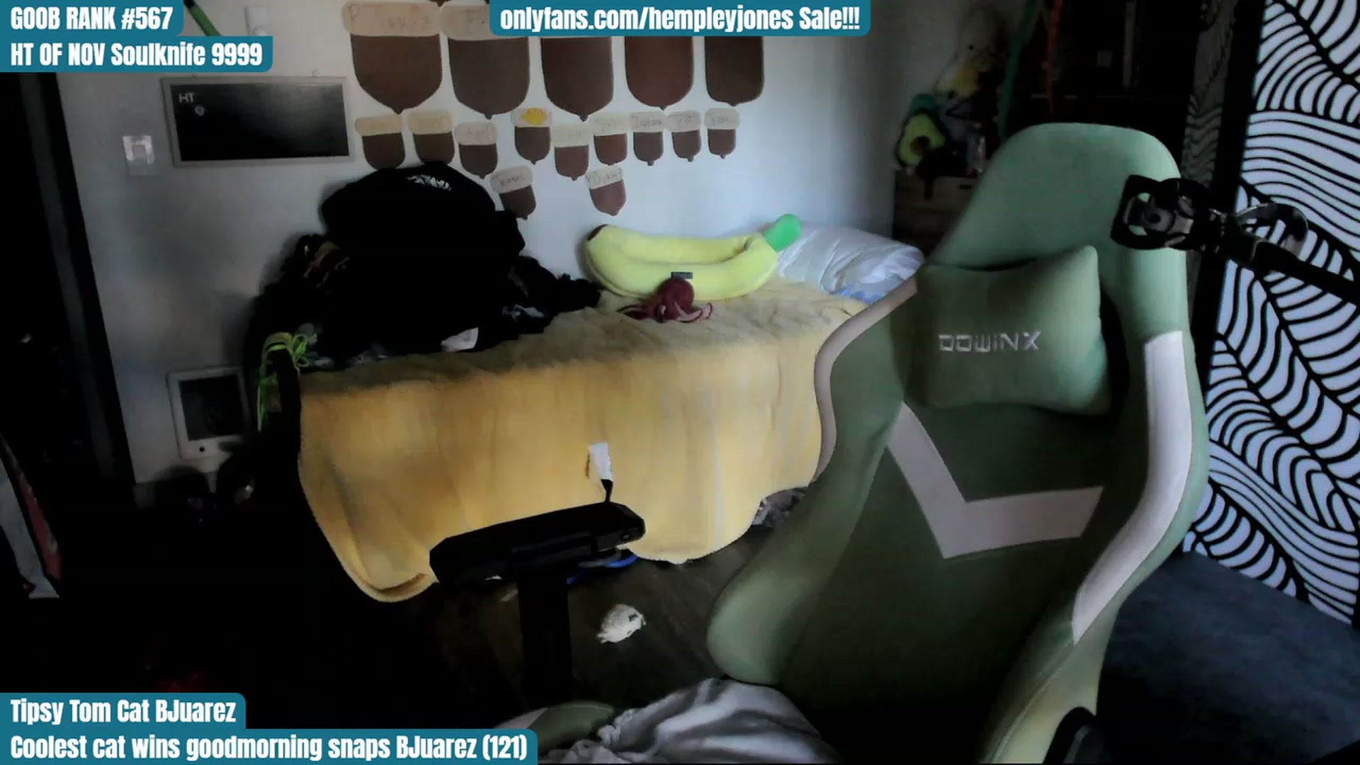 Gallery image thumbnail from Hempley's myfreecams stream on, 11/25/2023, 18:19 image 5 of 20
