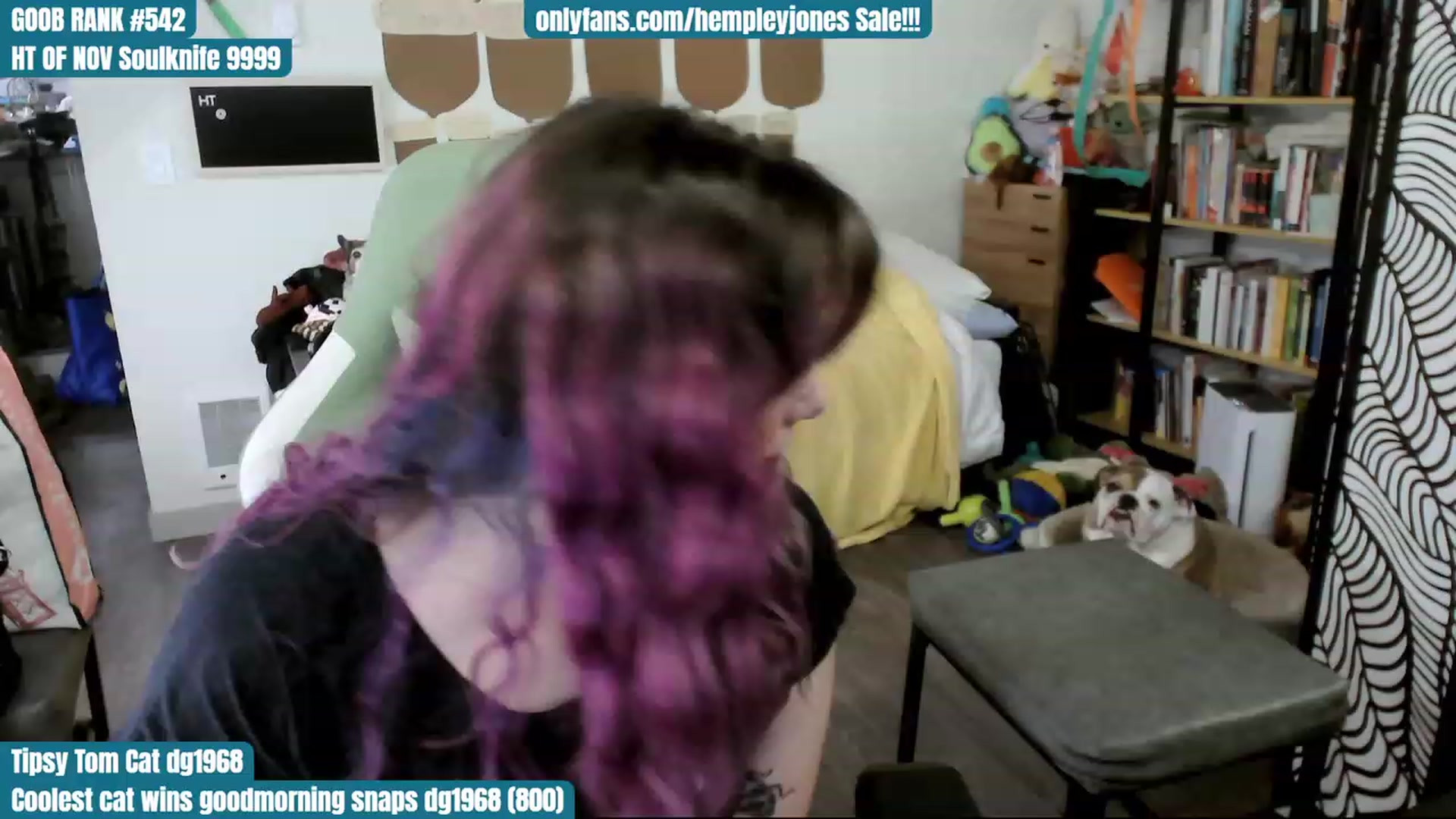 Gallery image thumbnail from Hempley's myfreecams stream on, 11/26/2023, 03:02 image 8 of 20