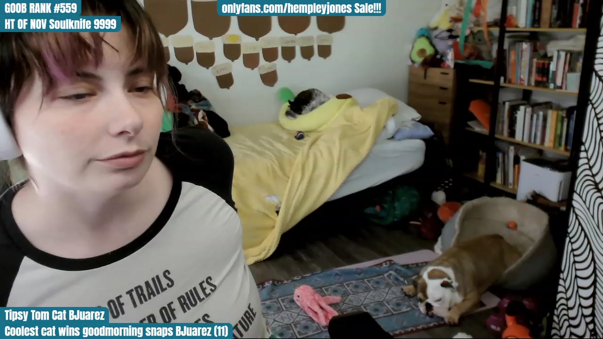 Gallery image thumbnail from Hempley's myfreecams stream on, 11/27/2023, 24:18 image 8 of 20